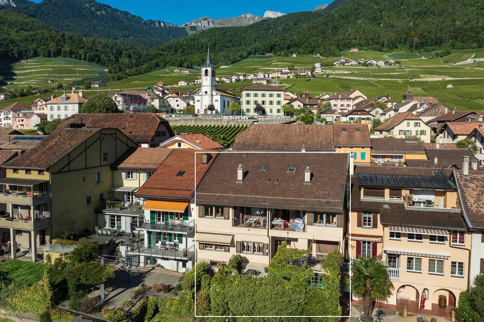 Immagine di copertina