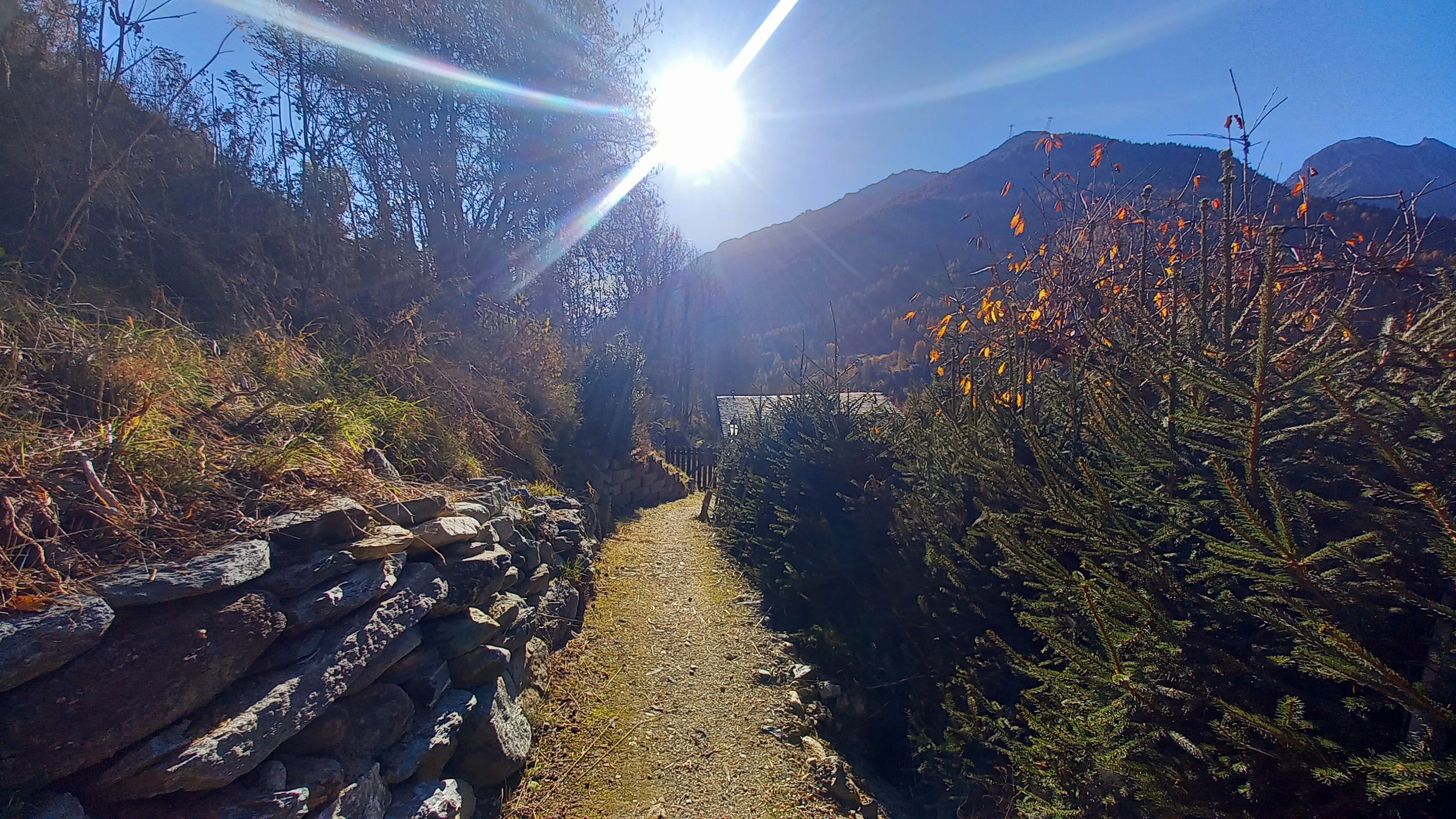 Chemin d'accès Chemin d'accès