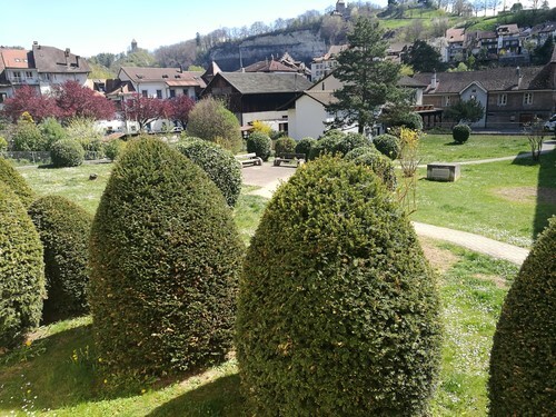 Foto 7
