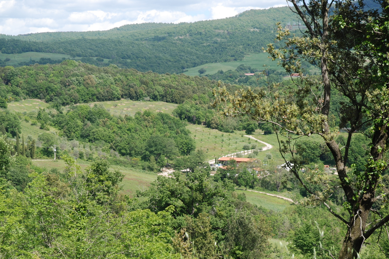 Immagine di copertina