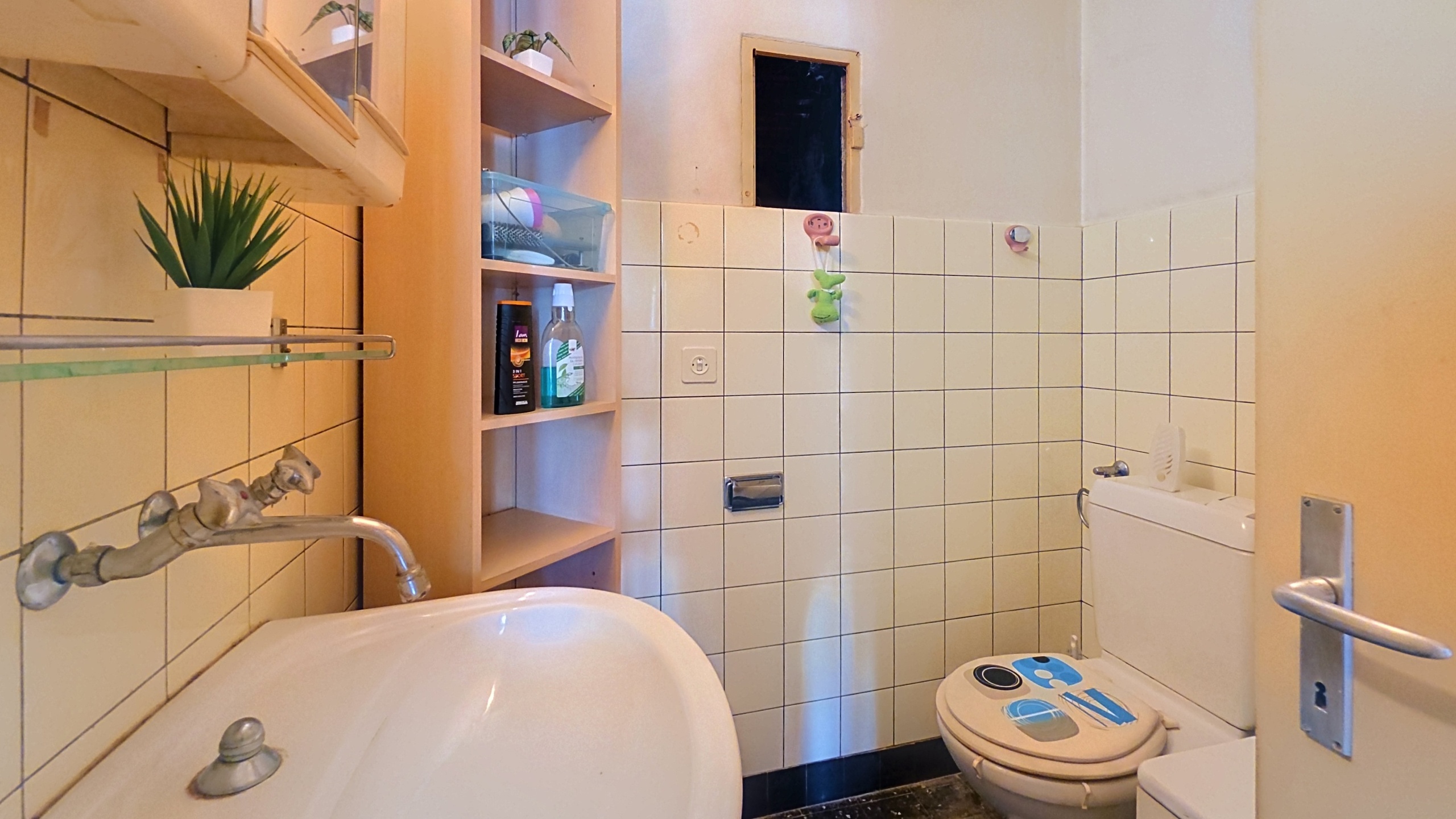 Appartement 2 pces combles - salle de bain