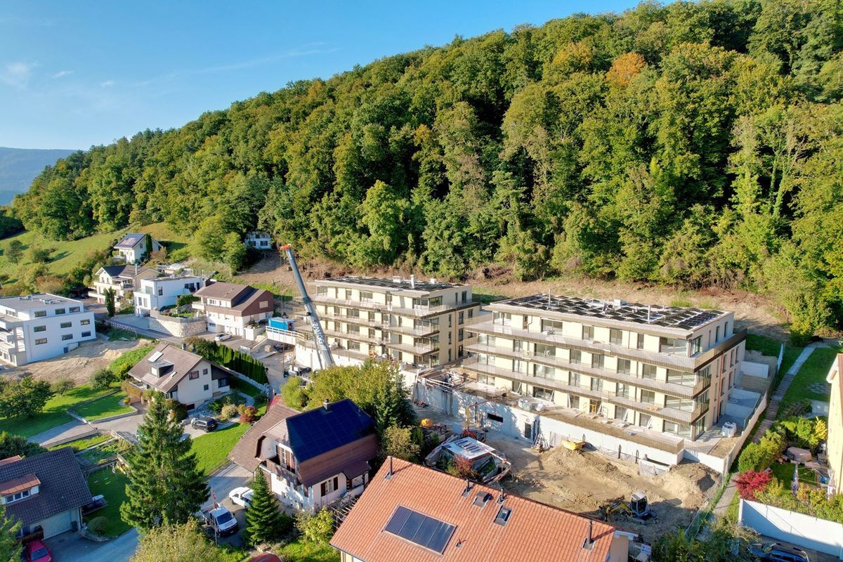 Premier coup d'oeil 1