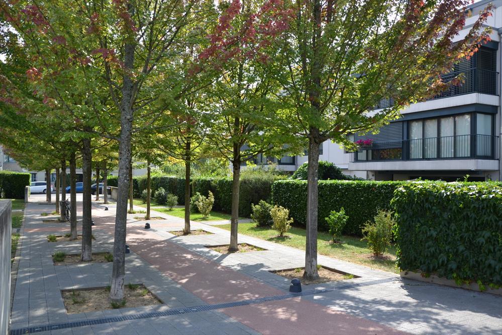 Aussenansicht 1