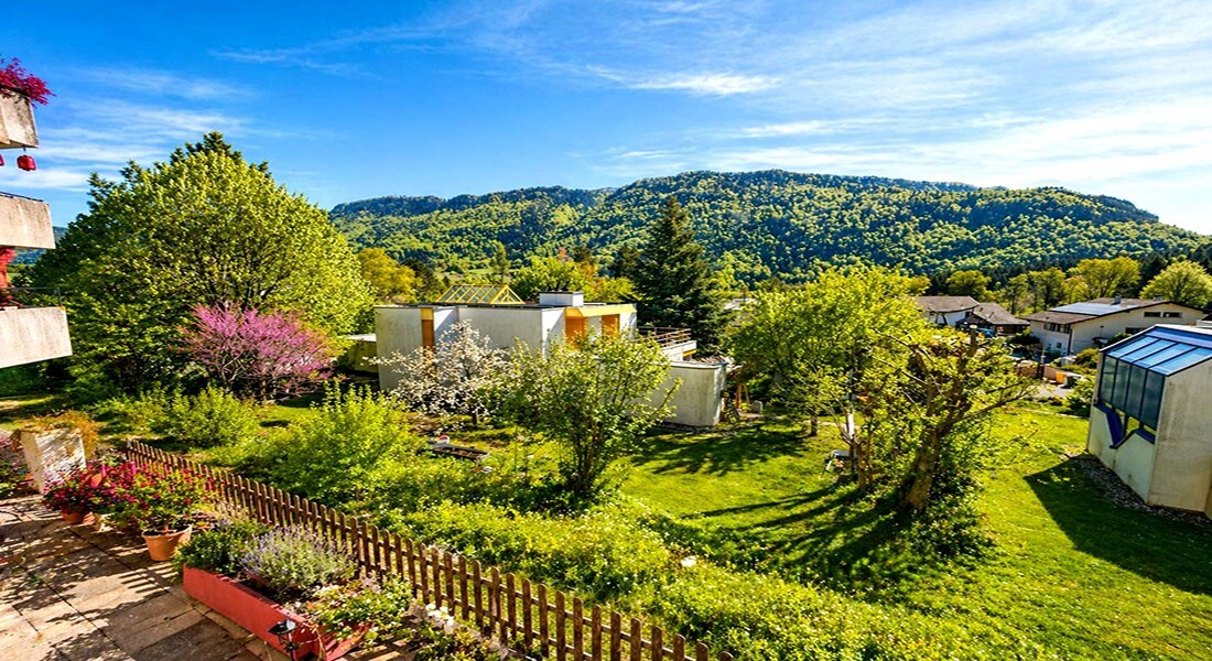 Foto 8