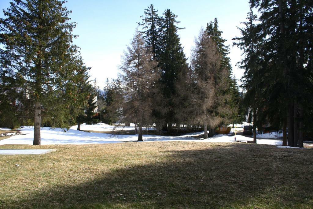 Foto 10