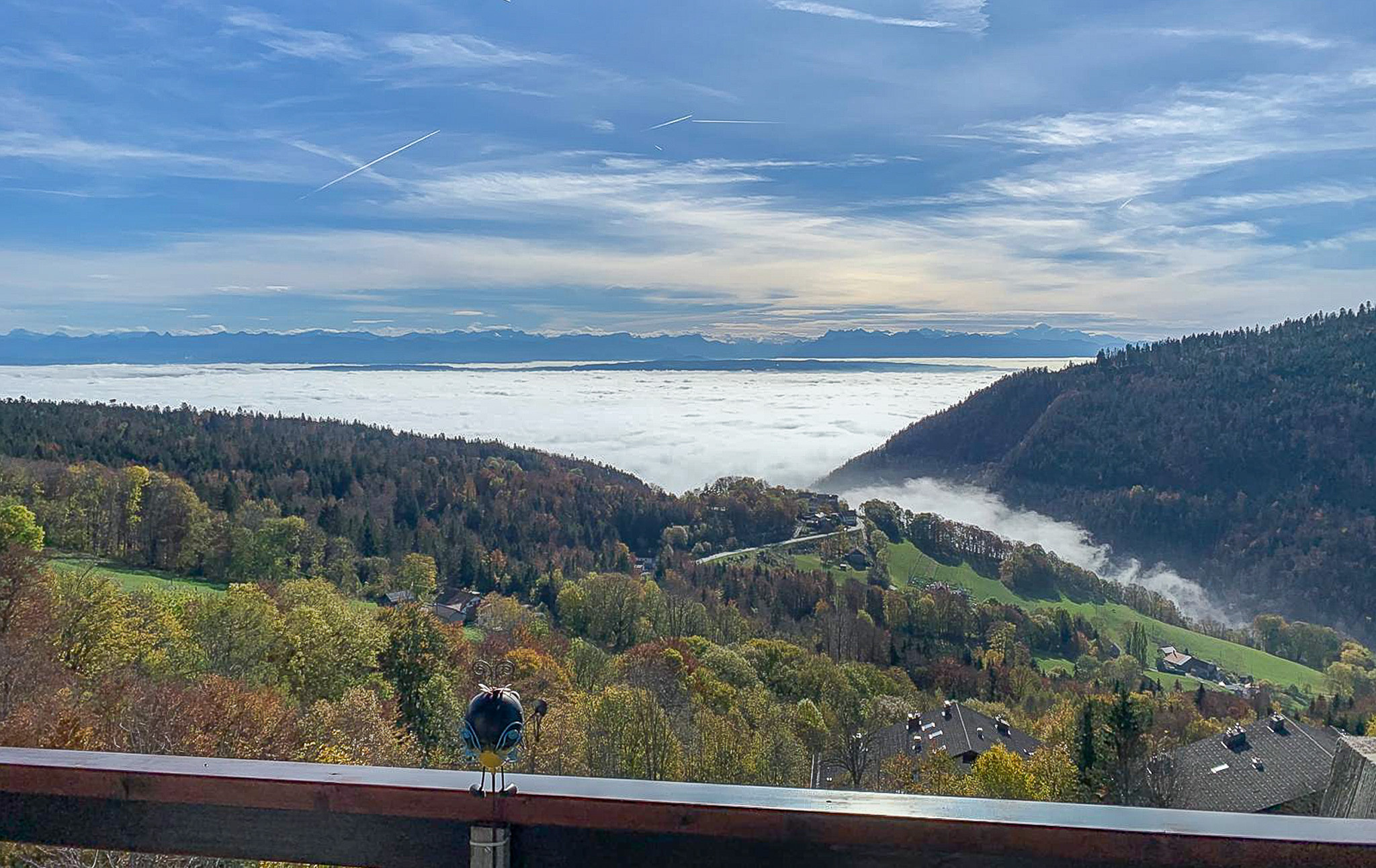 Magnifique dégagement