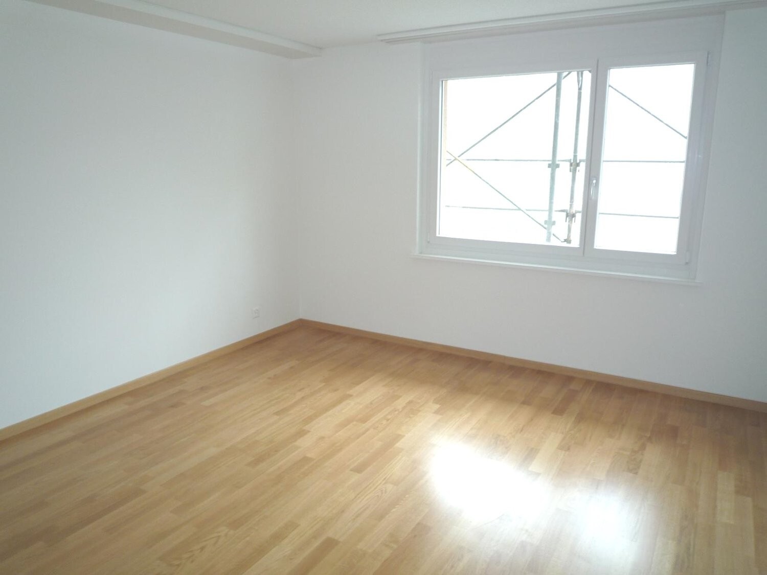 Picture 7