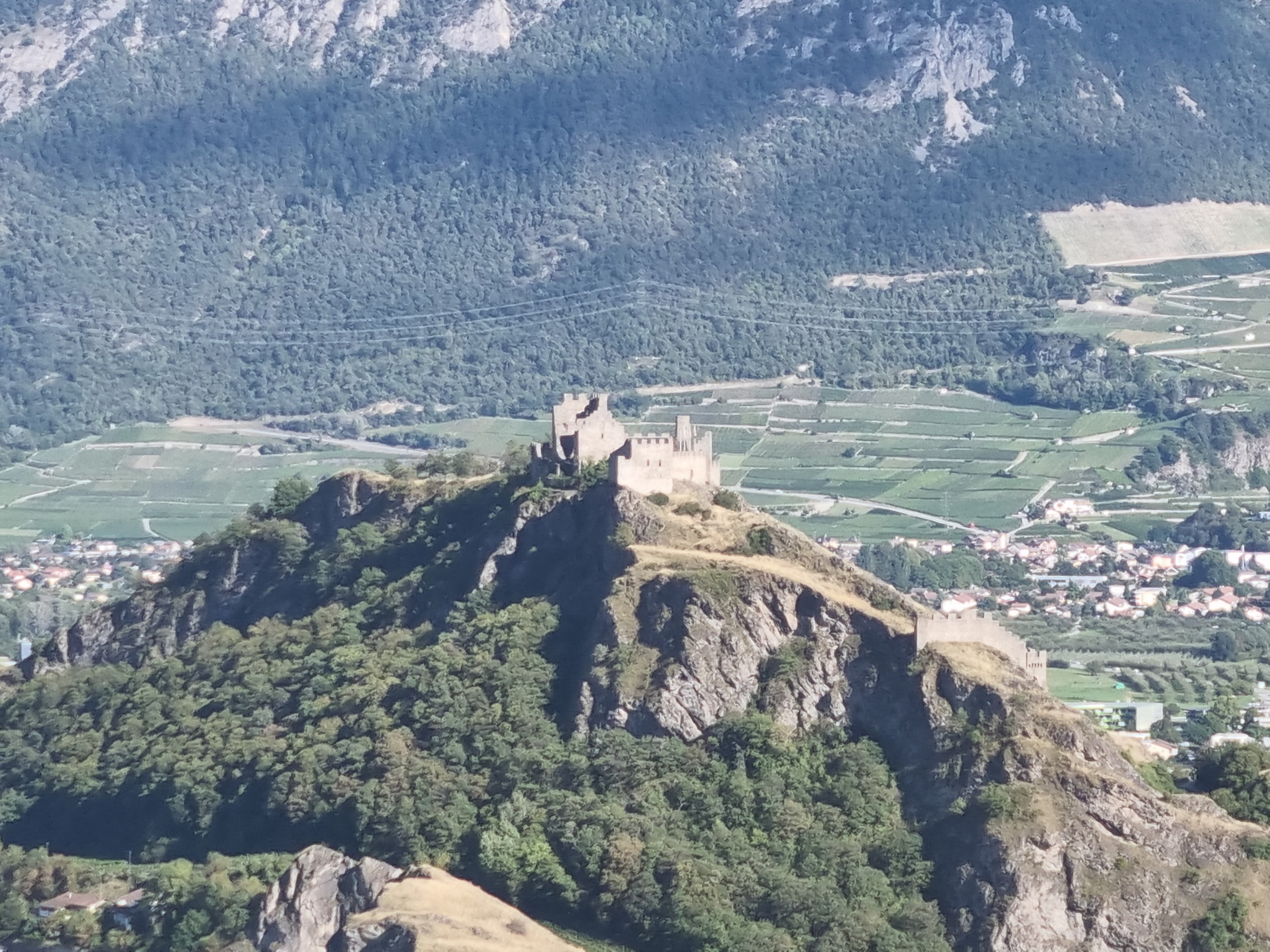 Picture 5