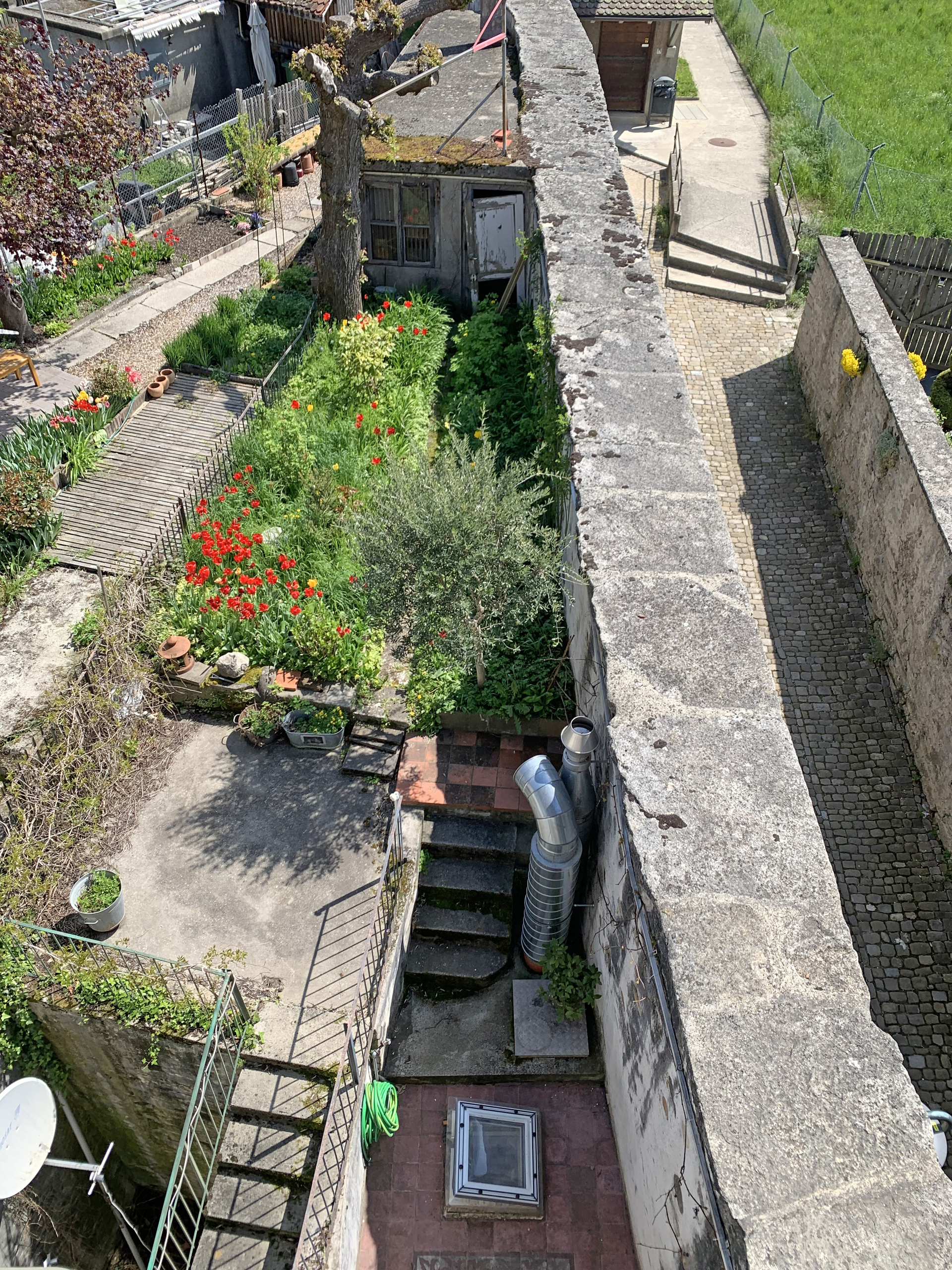 Lot 1 - Terrasse(s) et jardin