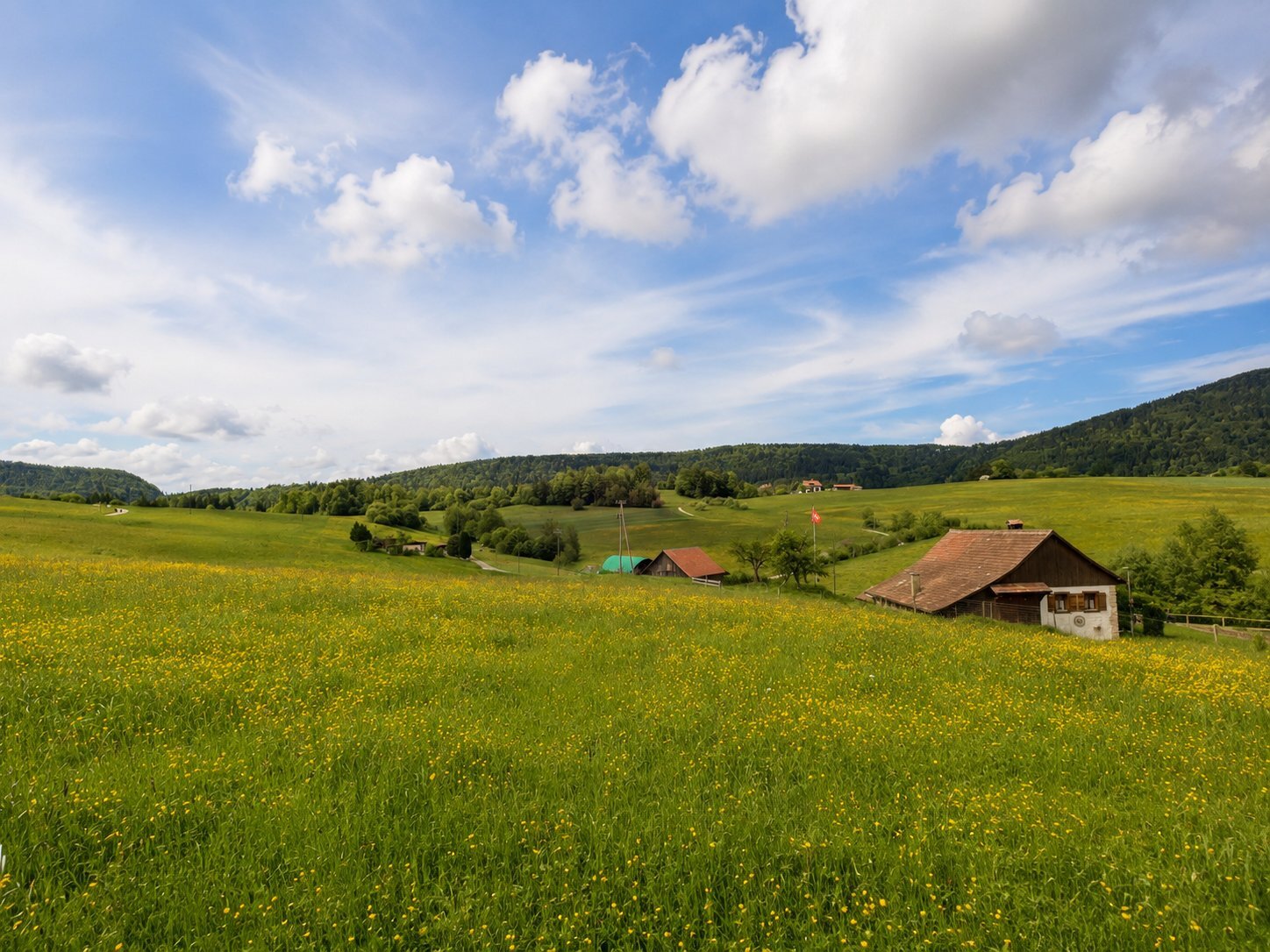 Picture 1