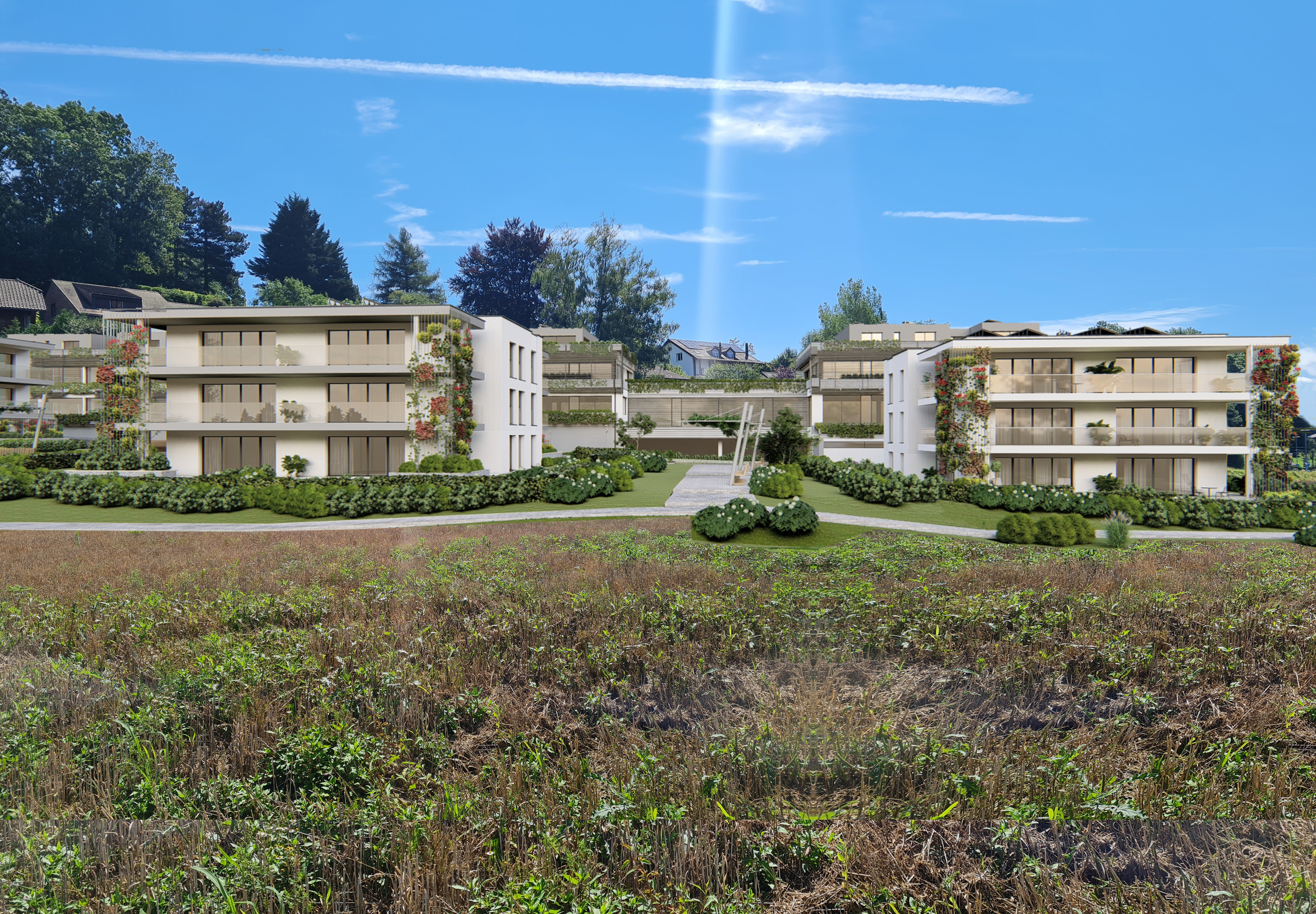Immosol | Le Mont-sur-Lausanne