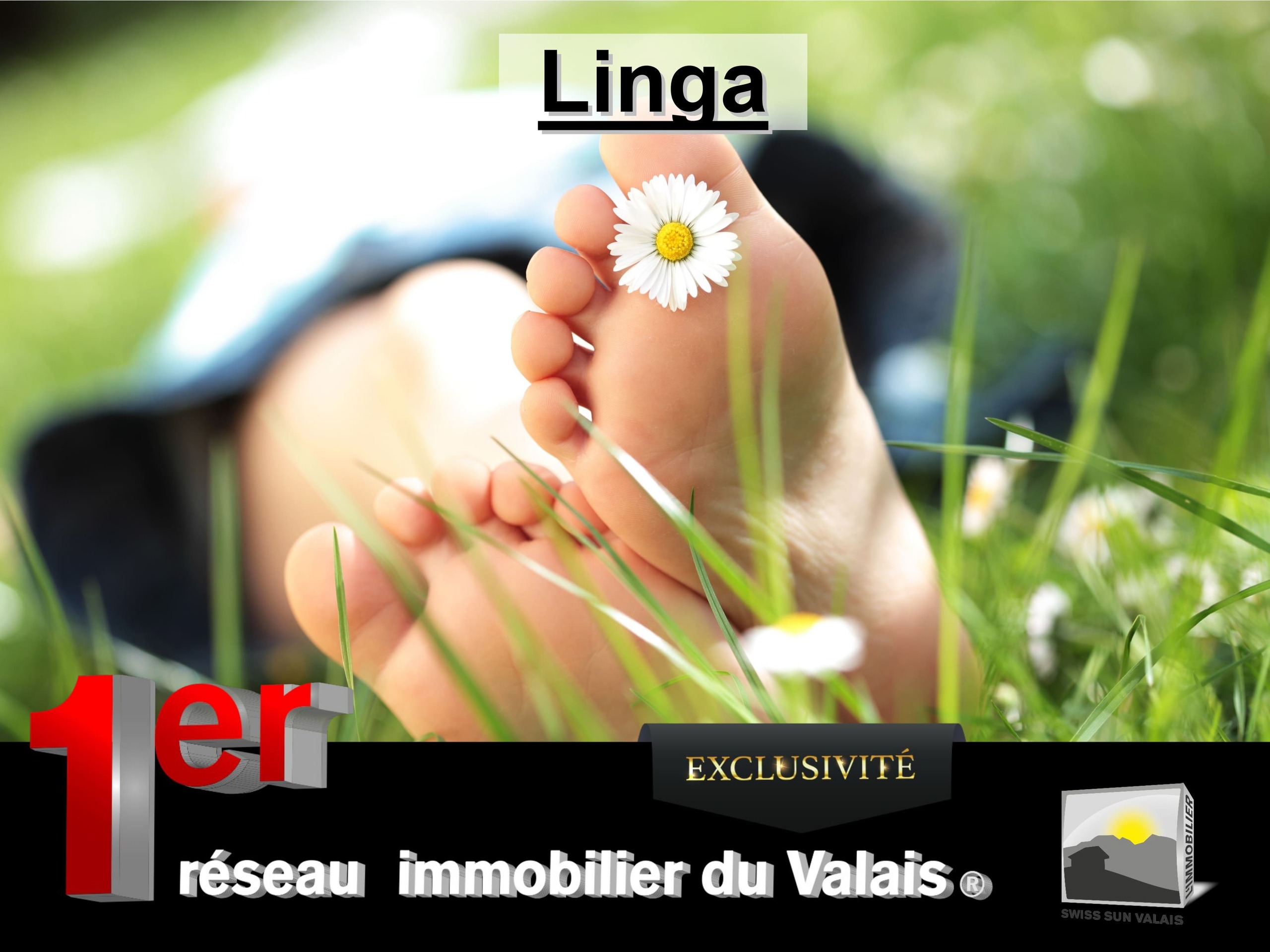 Premier coup d'oeil