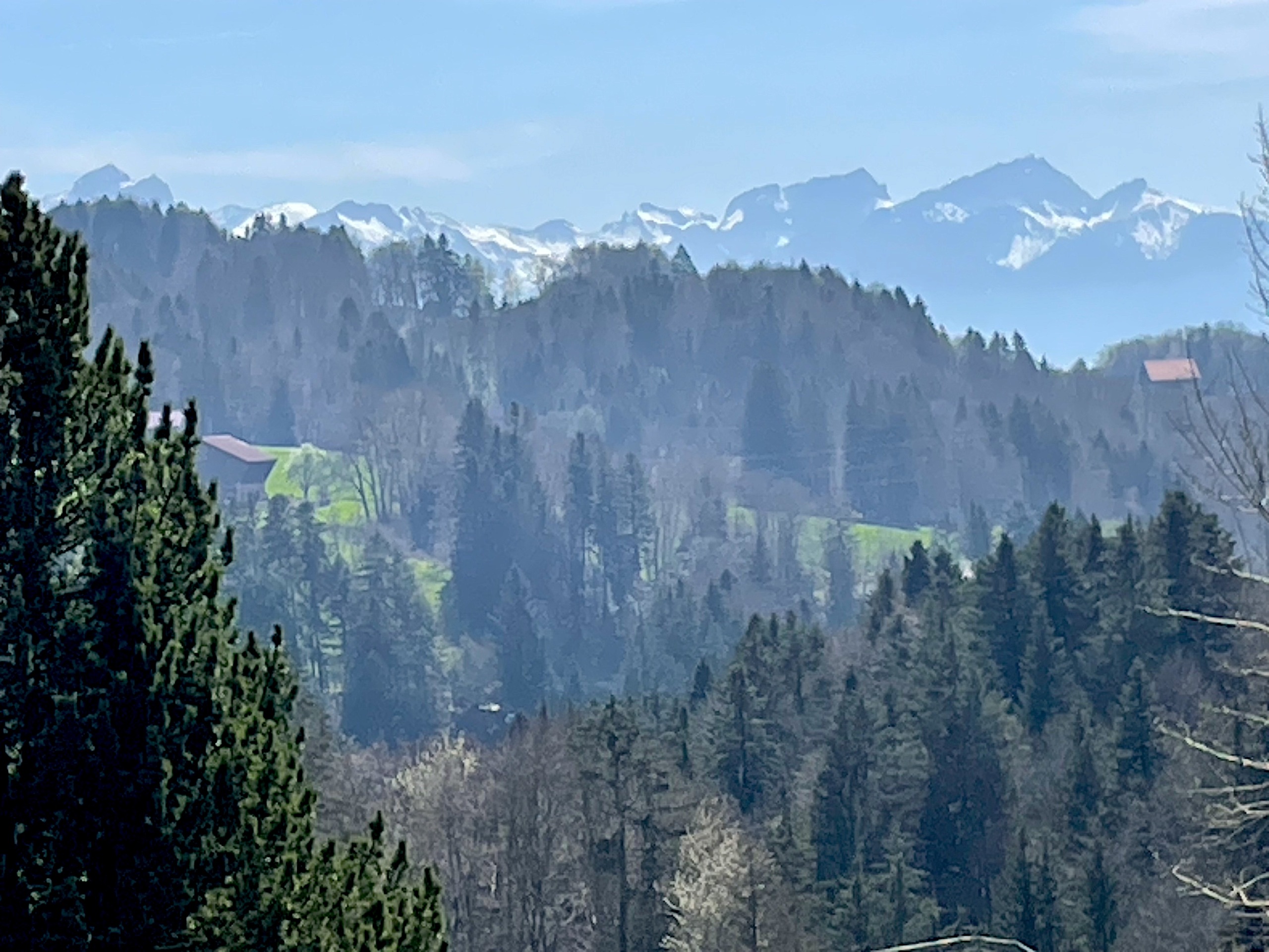 Magnifique spectacle naturel Magnifique spectacle naturel