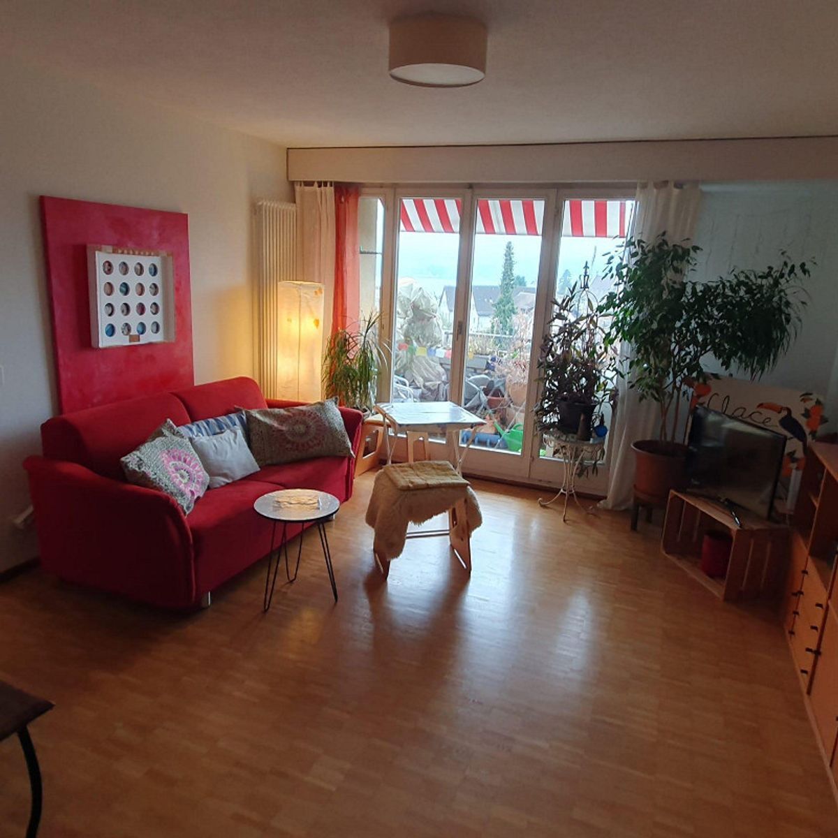 Foto 1