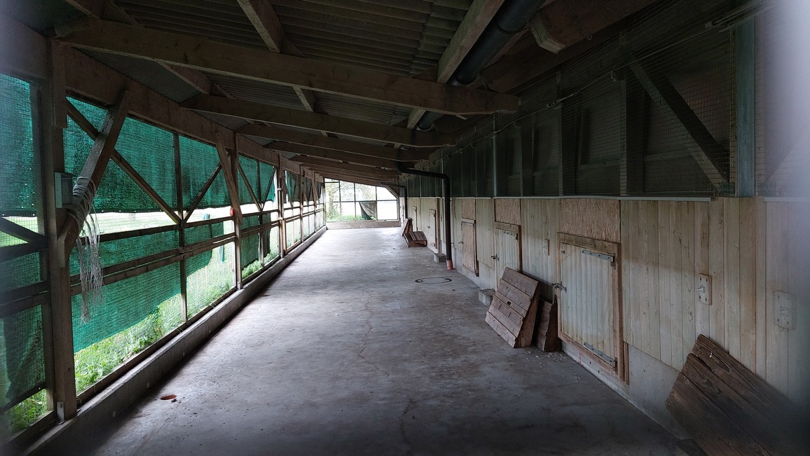 halle à poulets halle à poulets