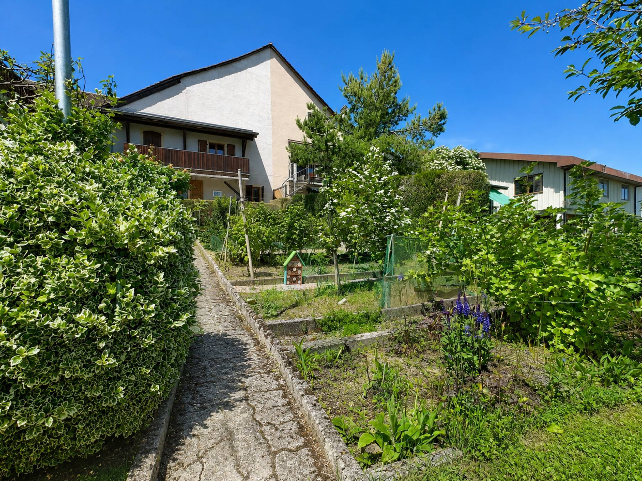 Foto 12