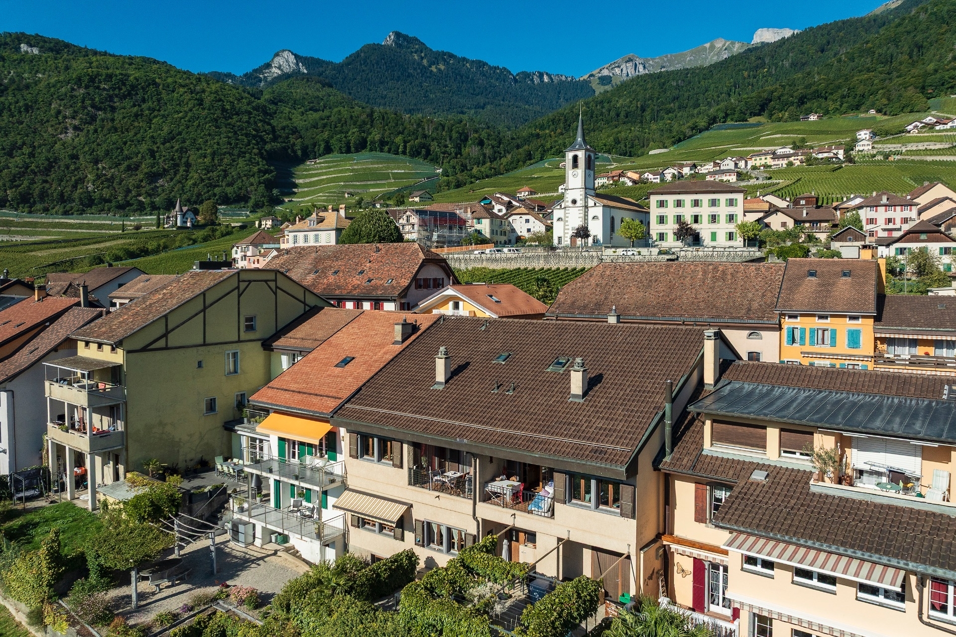 Immagine di copertina