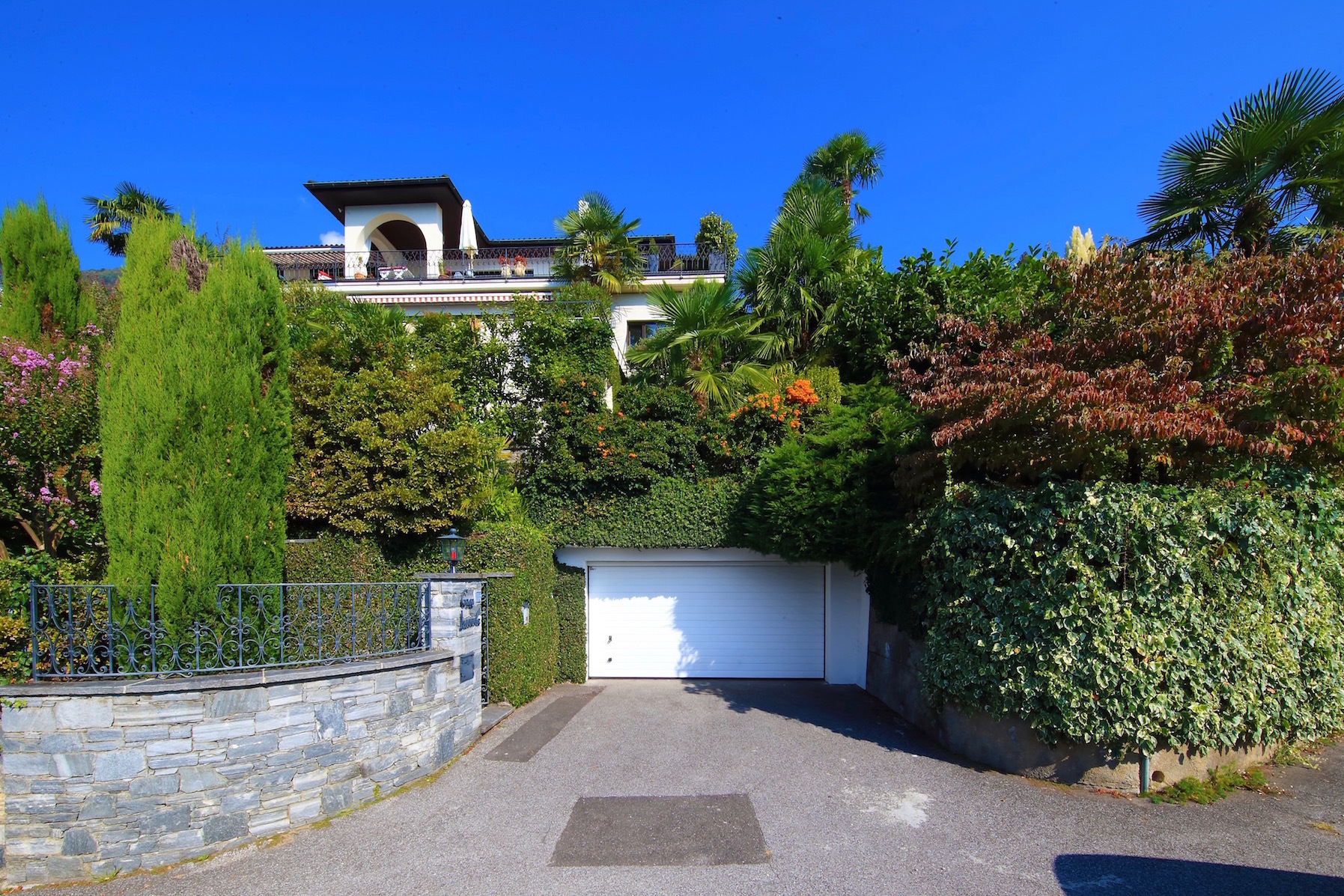 Immagine di copertina