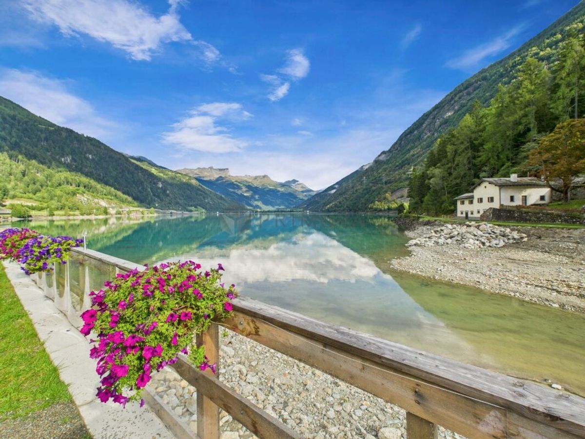 Immagine di copertina