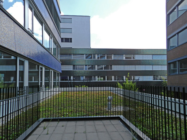 Foto 6
