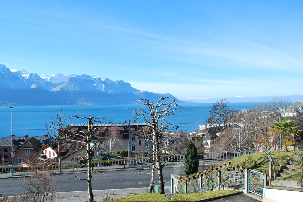 Beautiful view on the lake