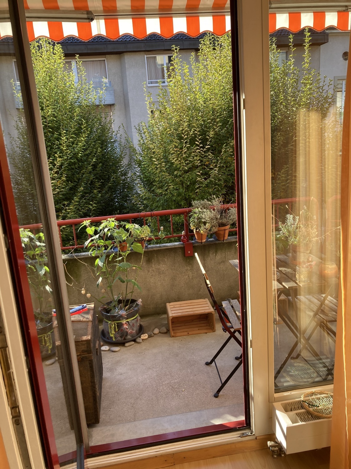 Foto 5