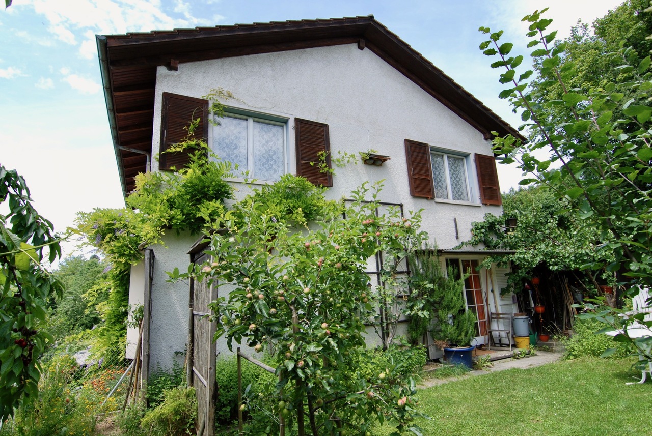 HAUSANSICHT OST IM SOMMER