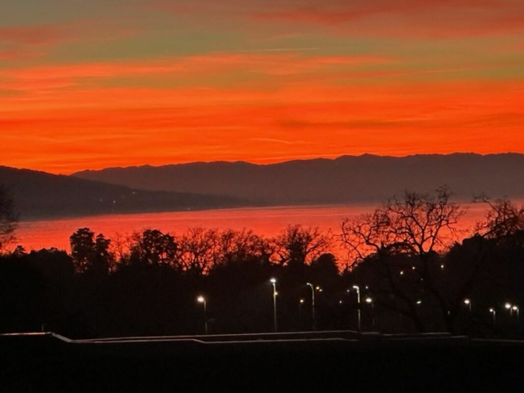 Premier coup d'oeil 3