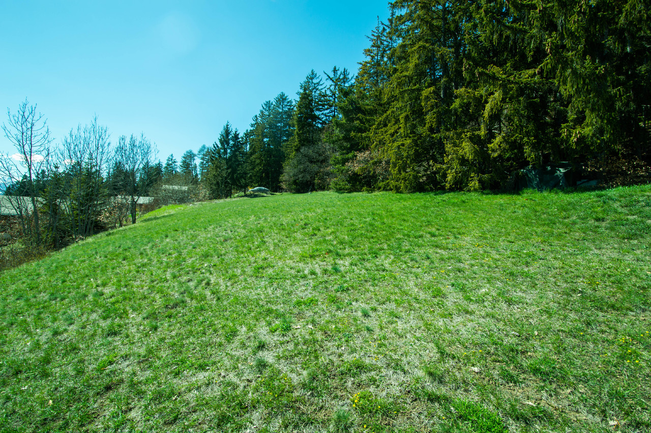 Picture 1