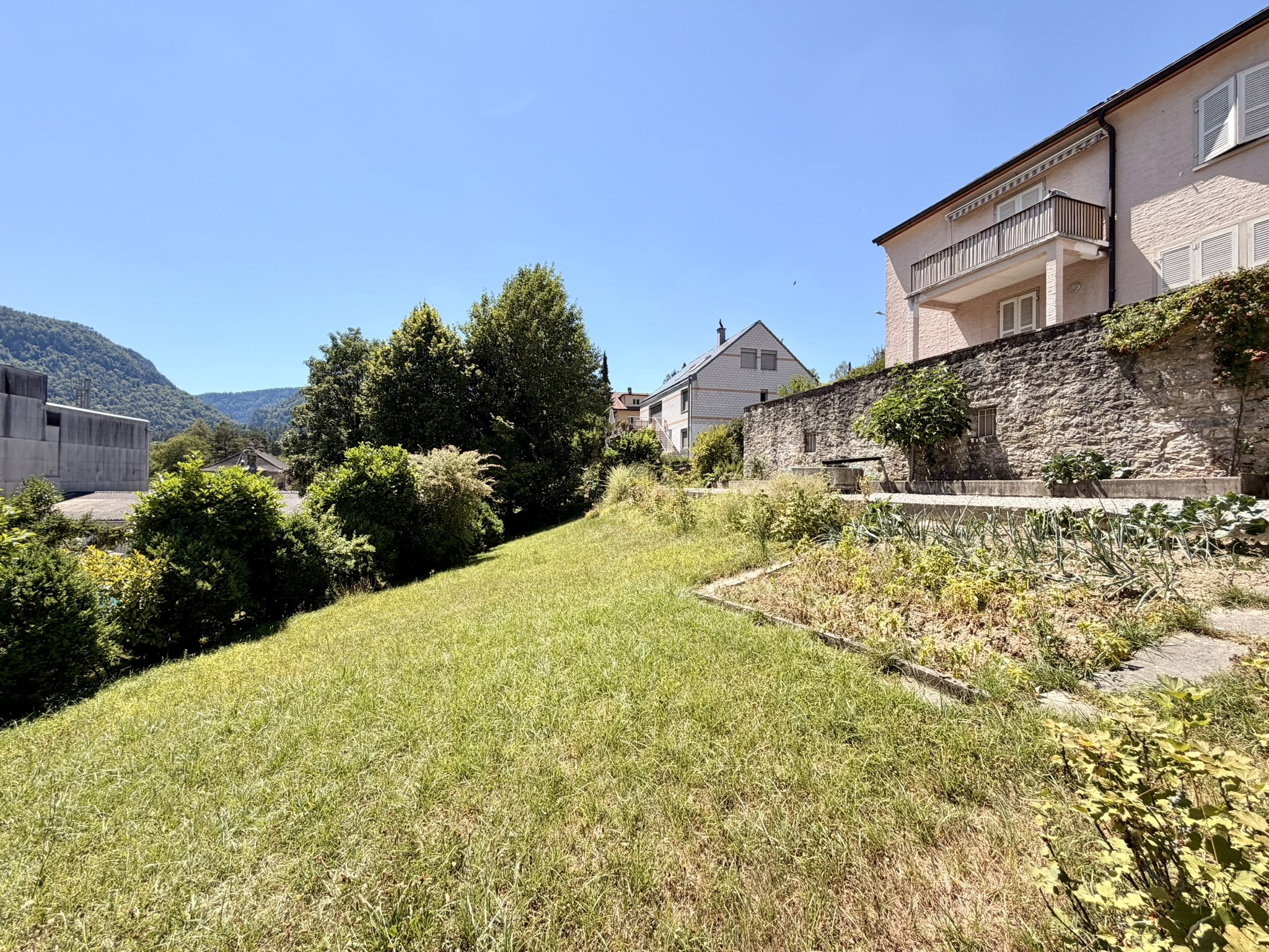 Photo 11