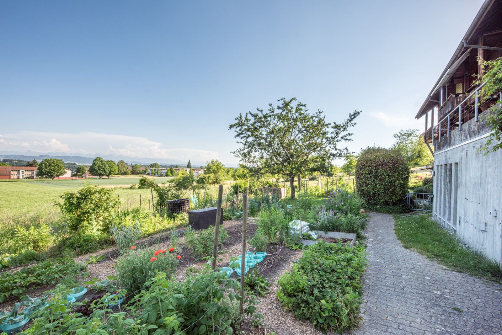 Garten vor dem Gemeinschaftsraum. Garten vor dem Gemeinschaftsraum.