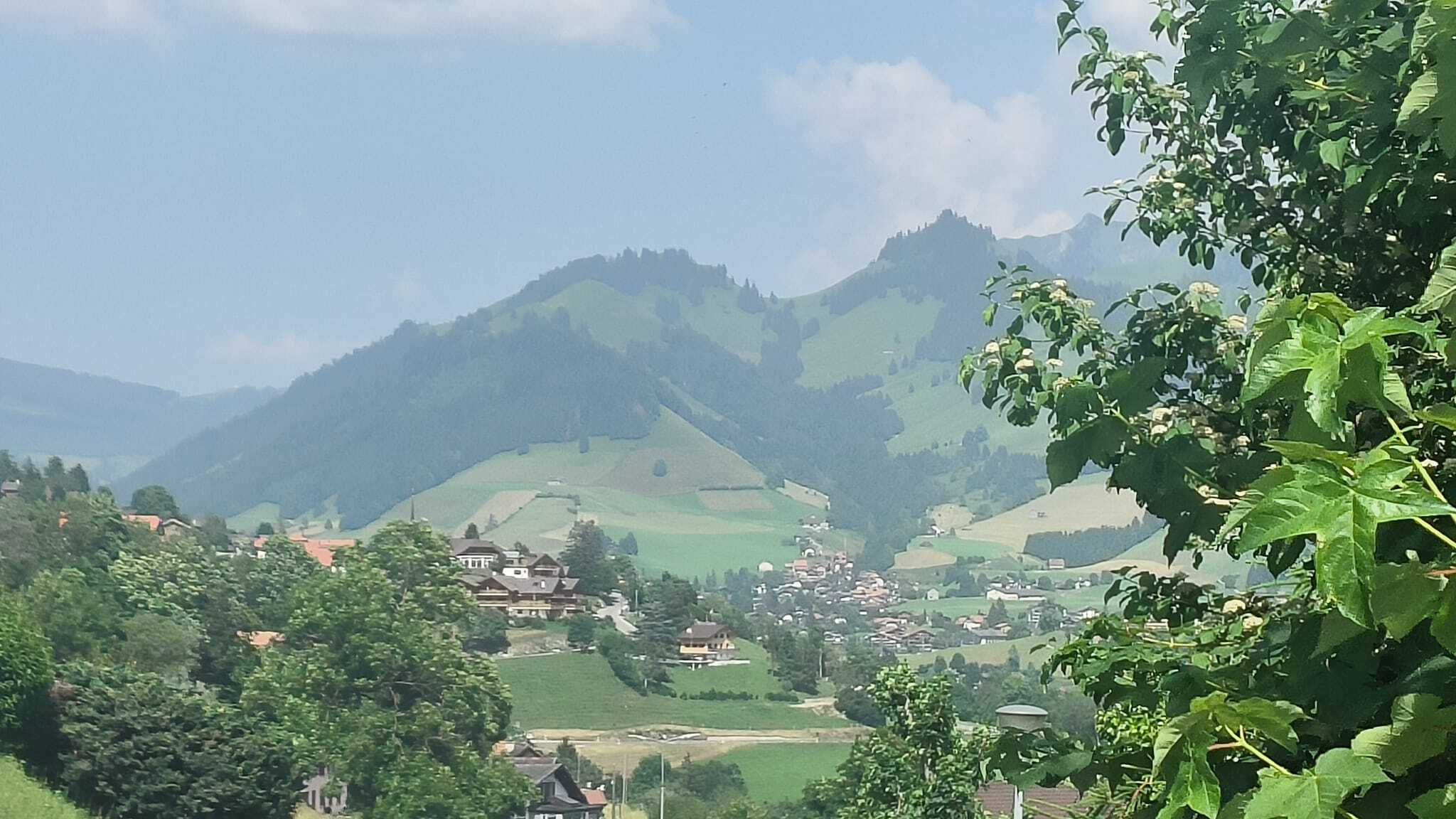 Premier coup d'oeil 2