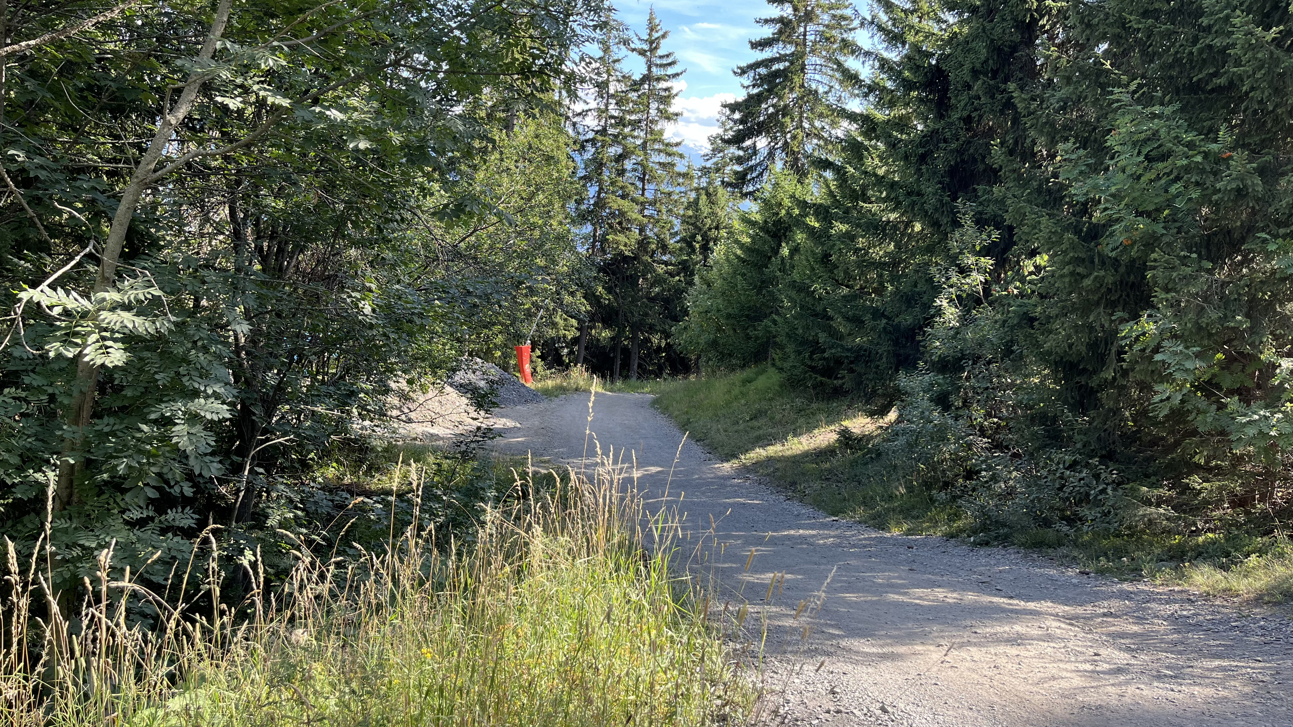 Piste de ski - cart Piste de ski - cart