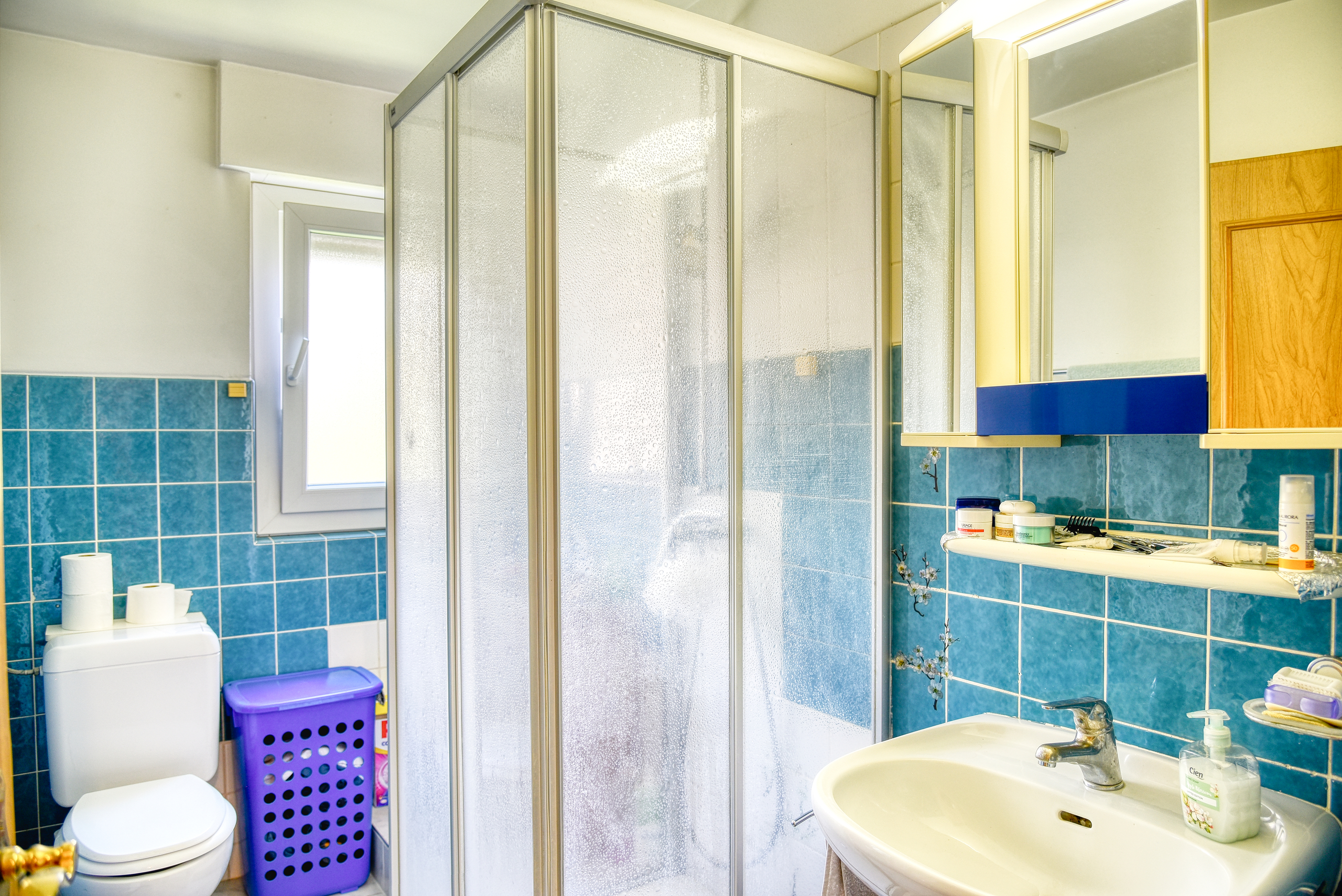 Appartement Veyras - Salle de douche