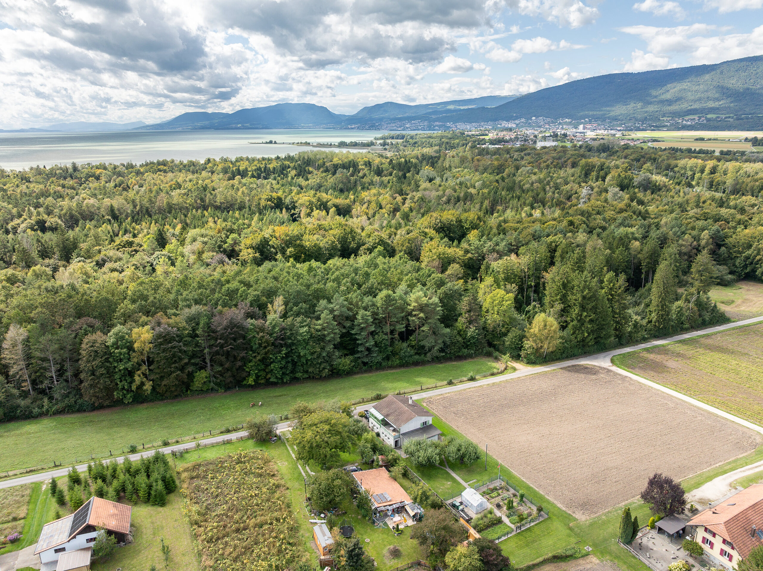 NATURSCHUTZGEBIET_NEUENBURGERSEE