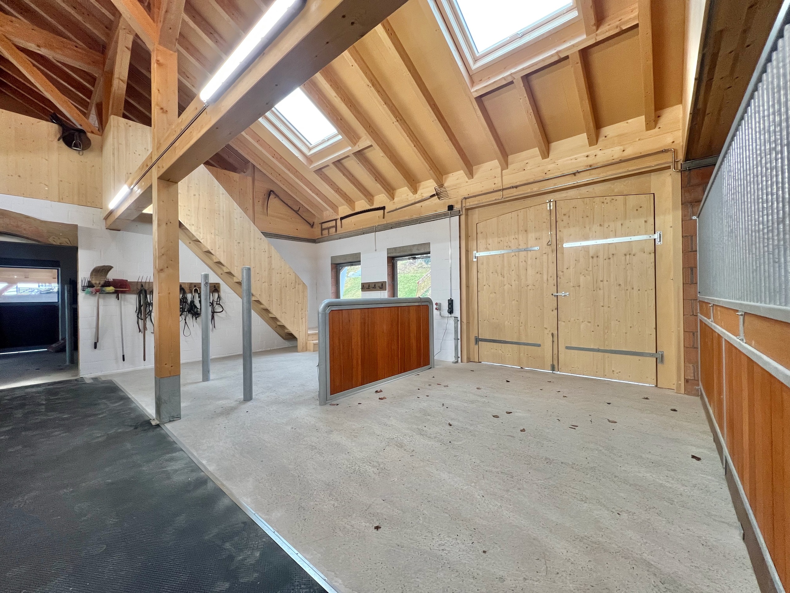 Espace pansage, Sellerie