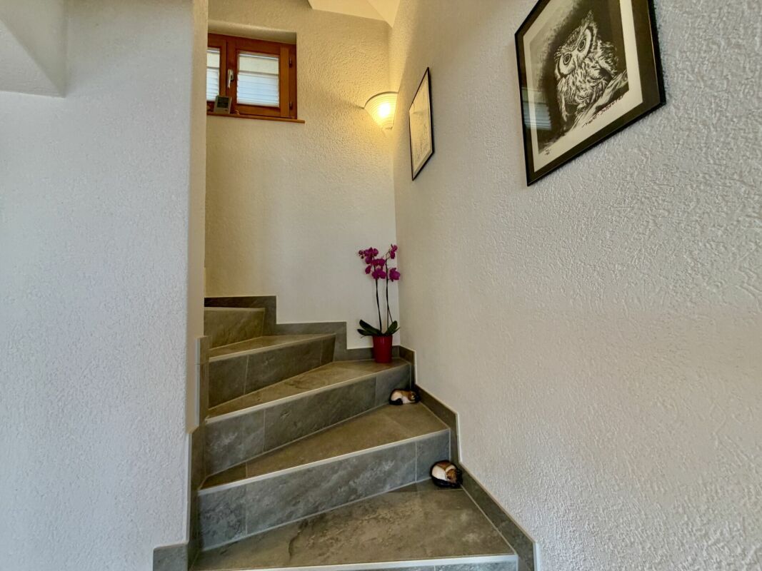 Foto 26