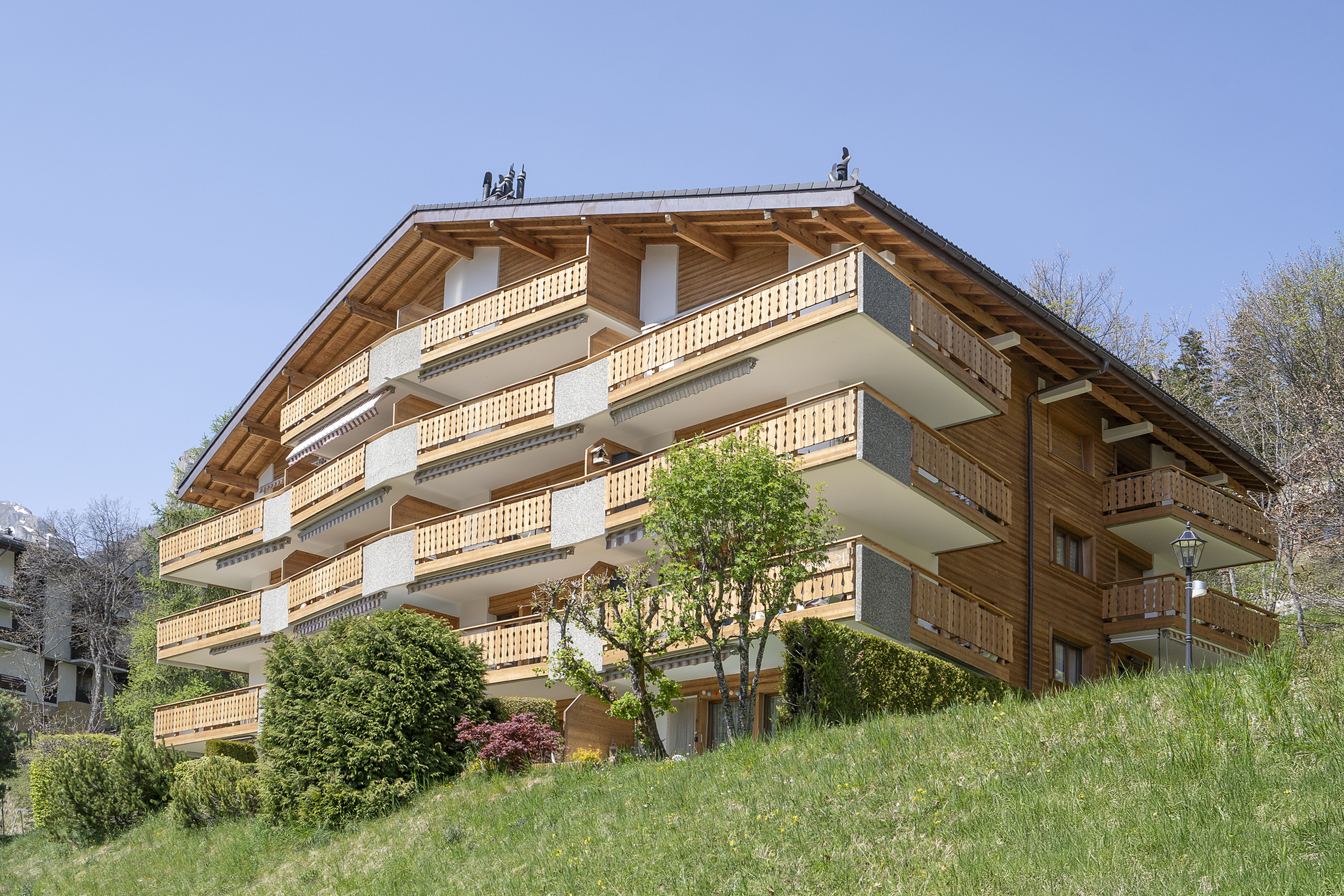 Immagine di copertina