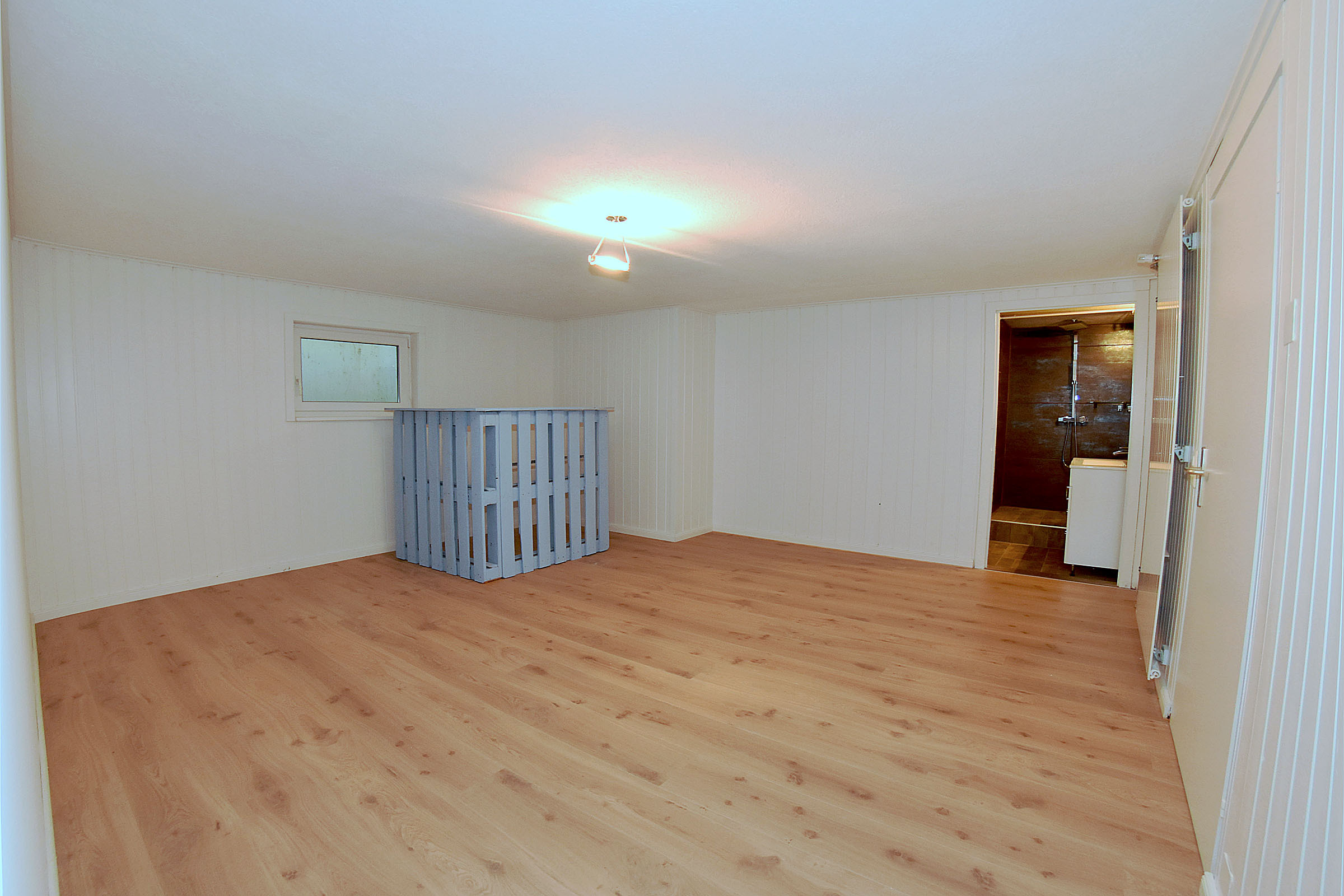 Beheizter Mehrzweckraum im UG (ca. 20 m2)