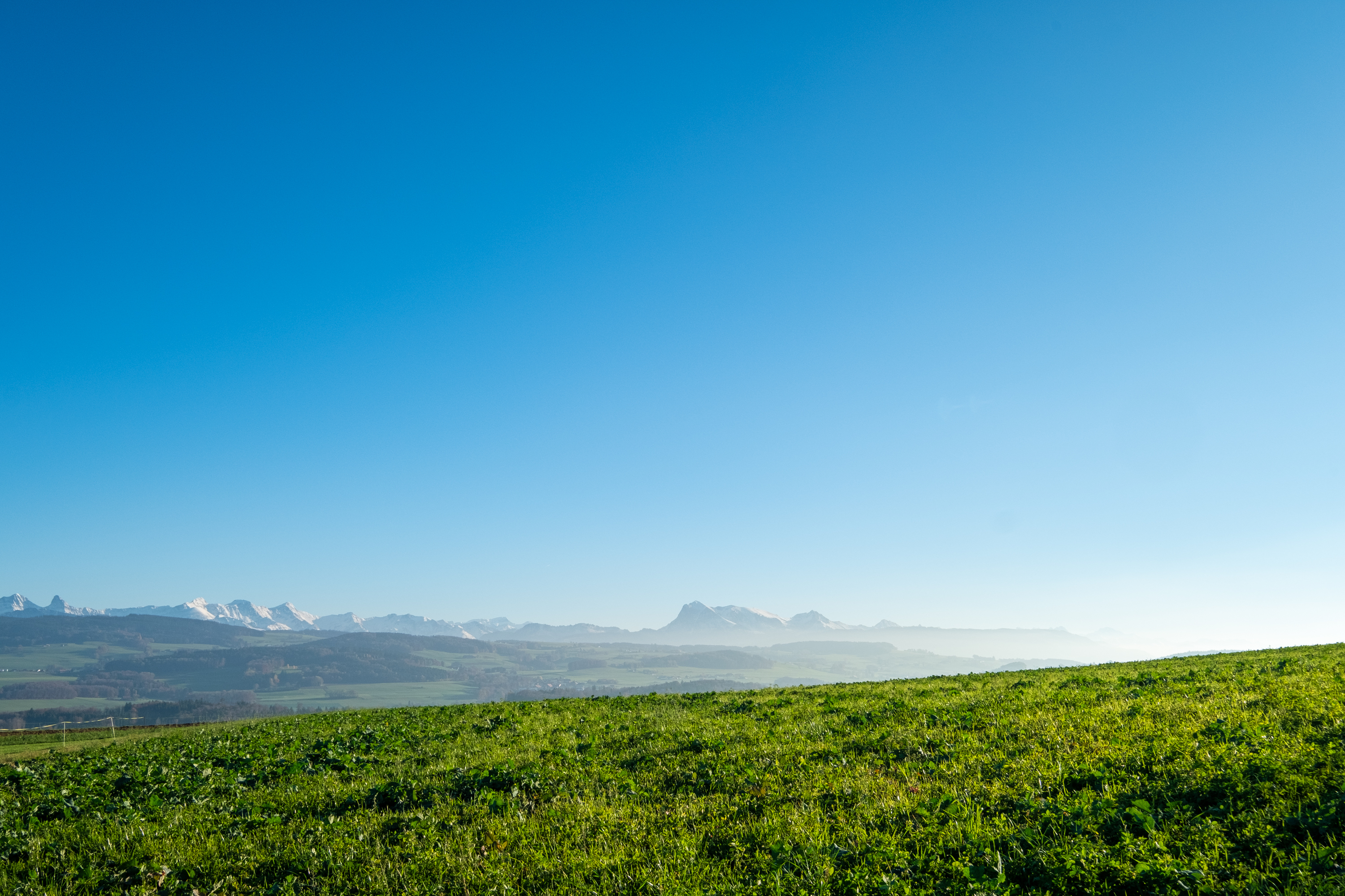 Projet immobilier à Villarimboud avec maisons et Domespace à vendre : la région.