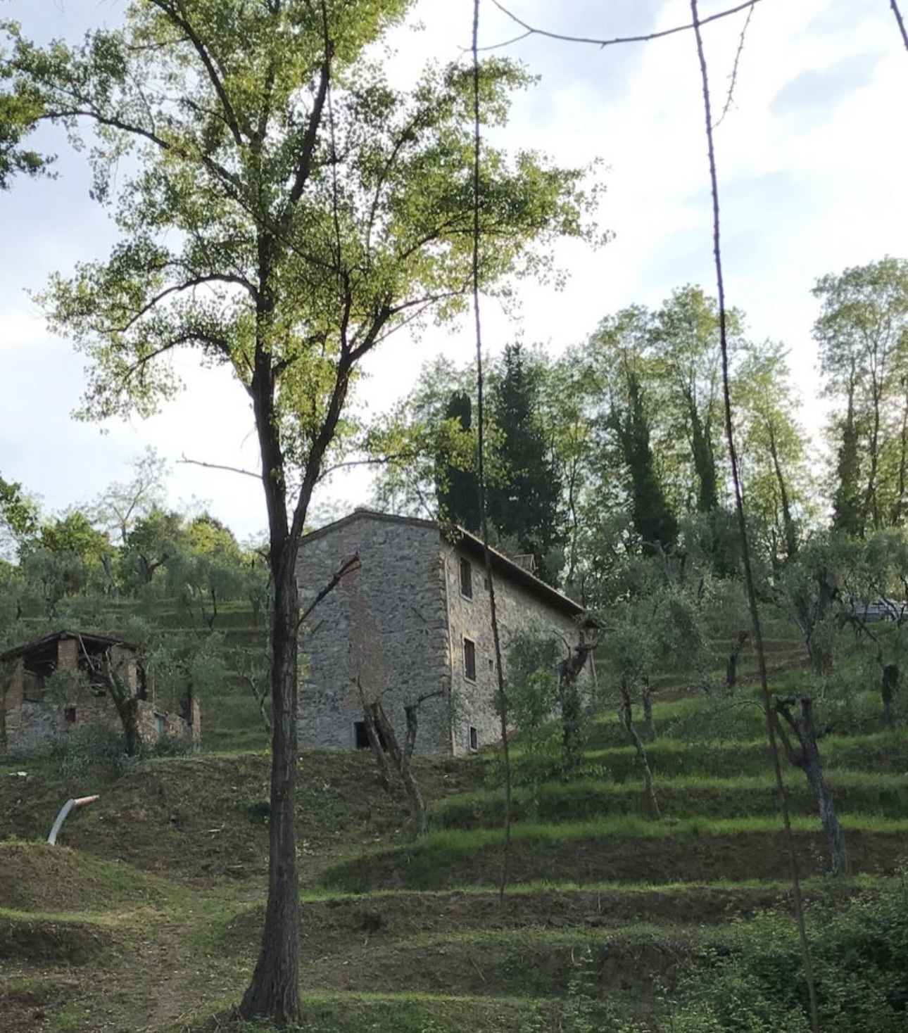 Aktuelle Bauten in sichtbarer Hanglage Aktuelle Bauten in sichtbarer Hanglage