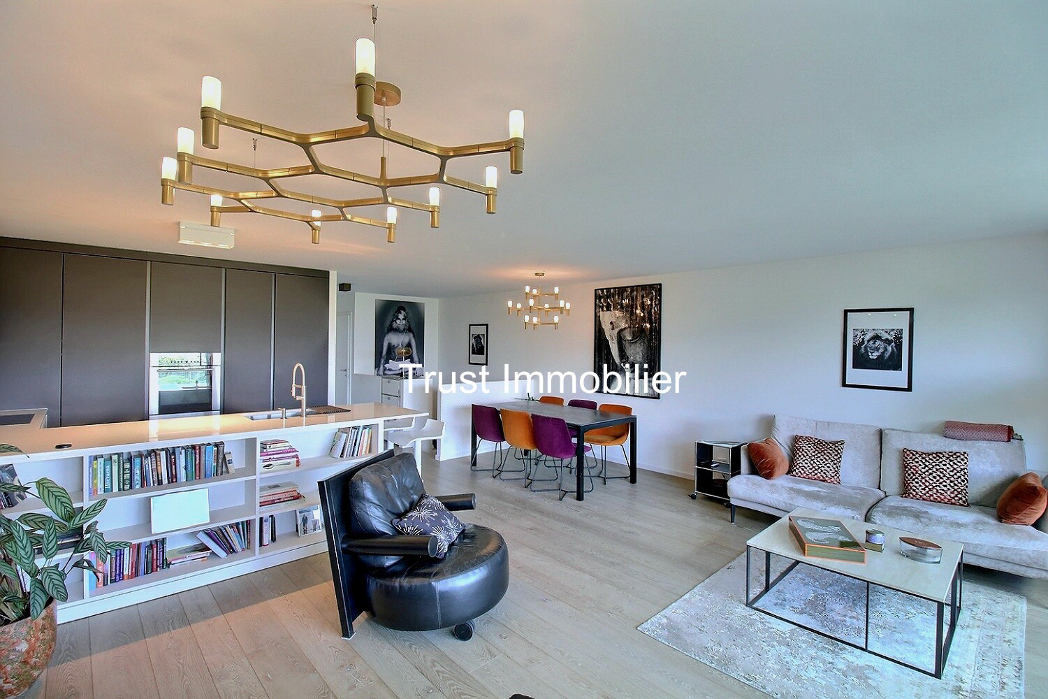 Interior view 1