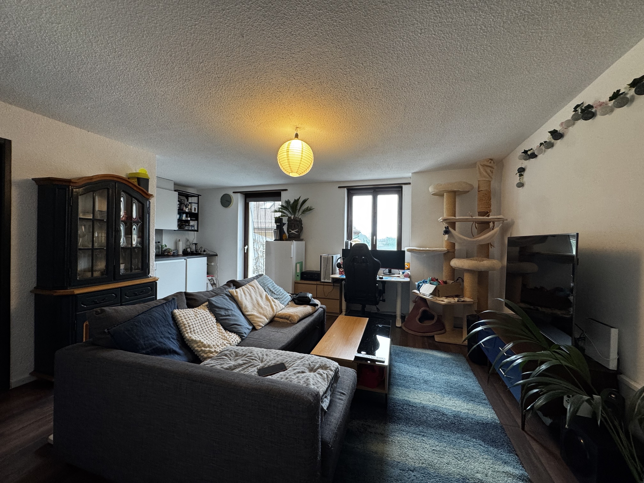 Immagine di copertina