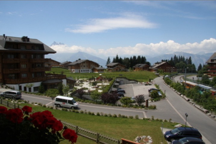 Photo 11