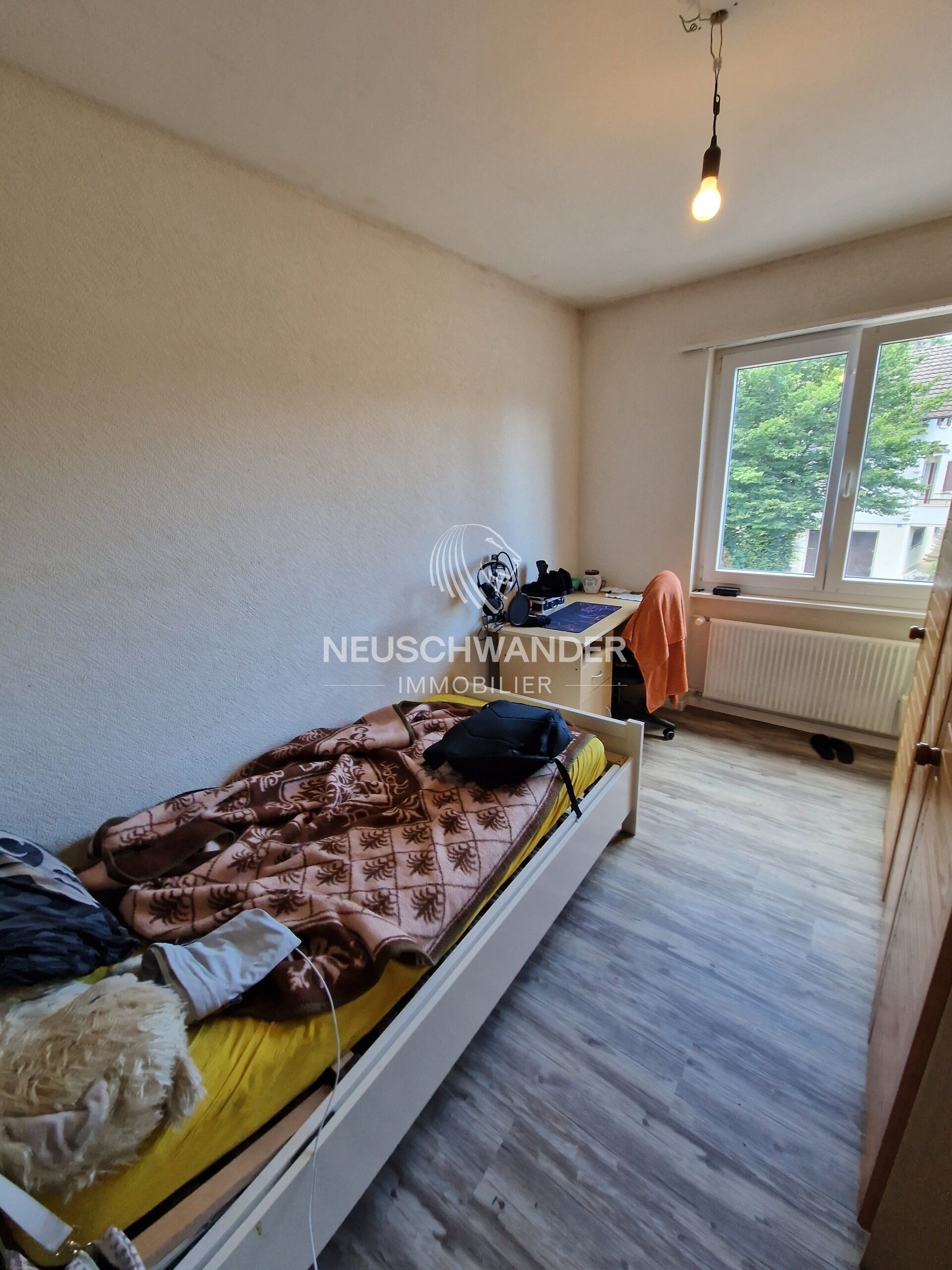 Picture 8