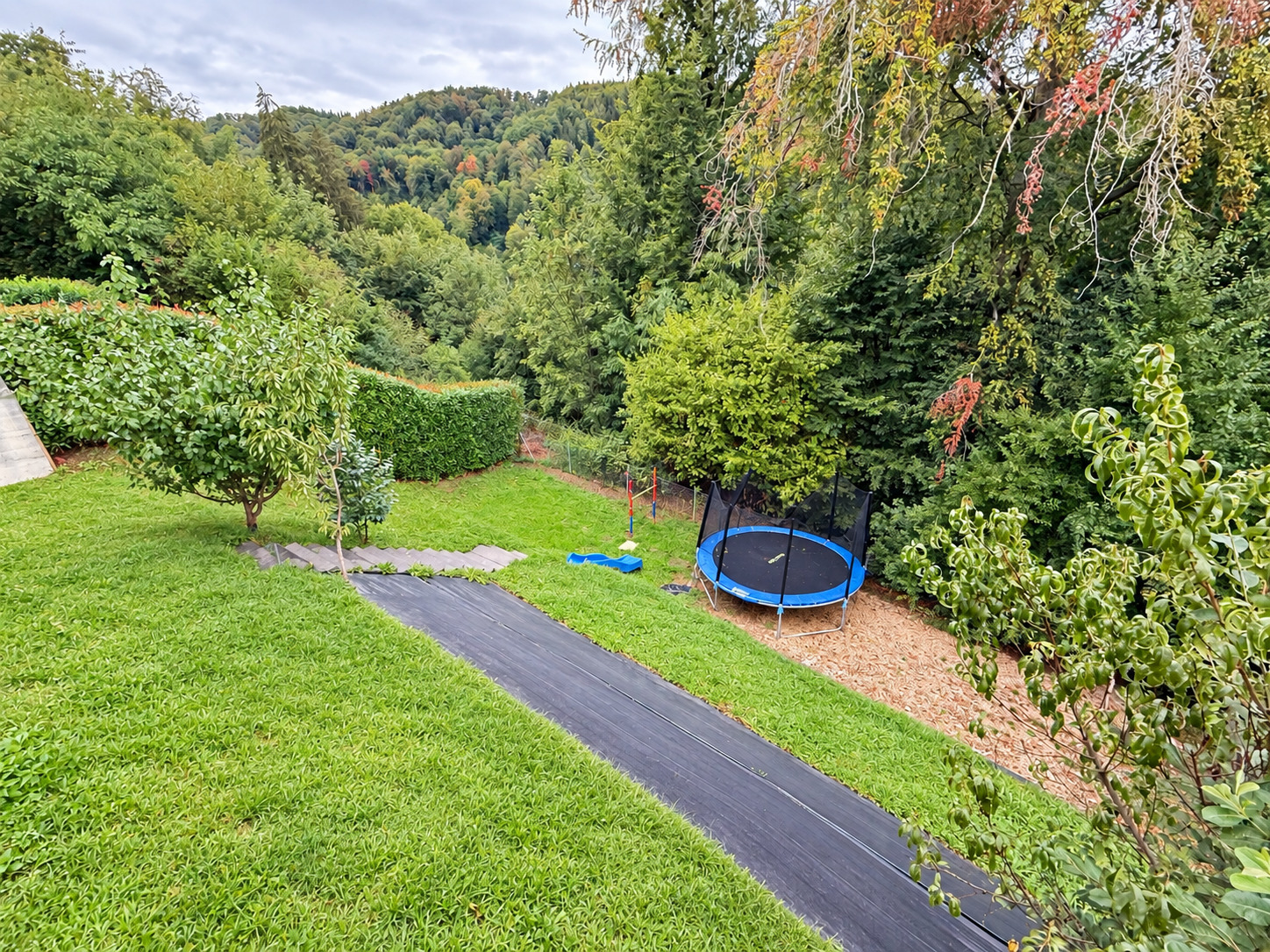 Jardin d'env. 200m2 - Avant Jardin d'env. 200m2 - Avant