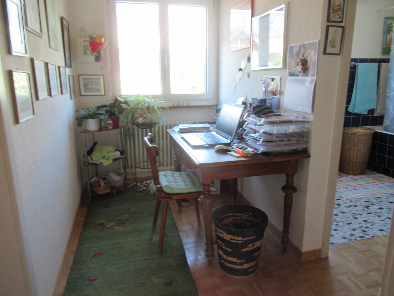 Foto 7
