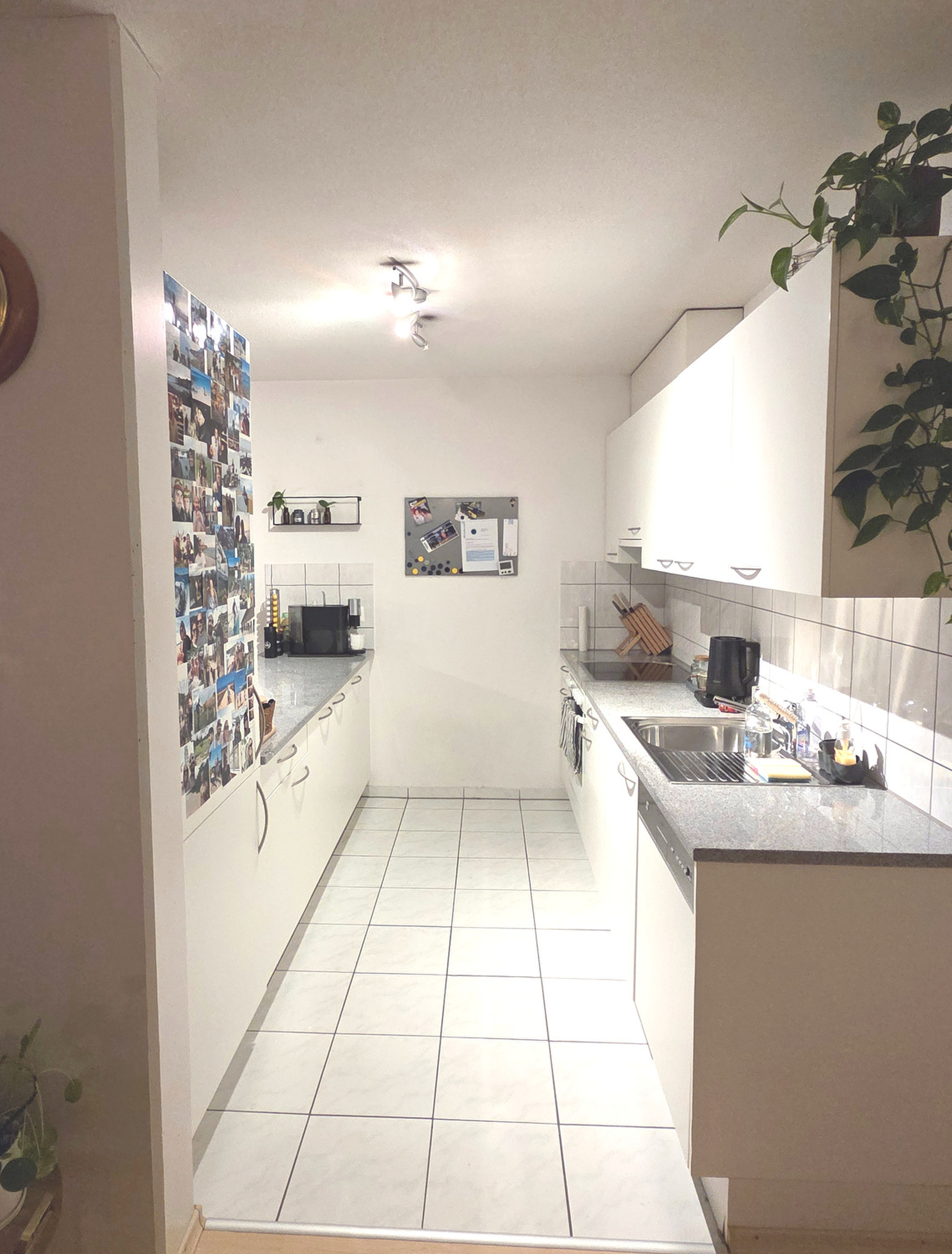 Picture 6