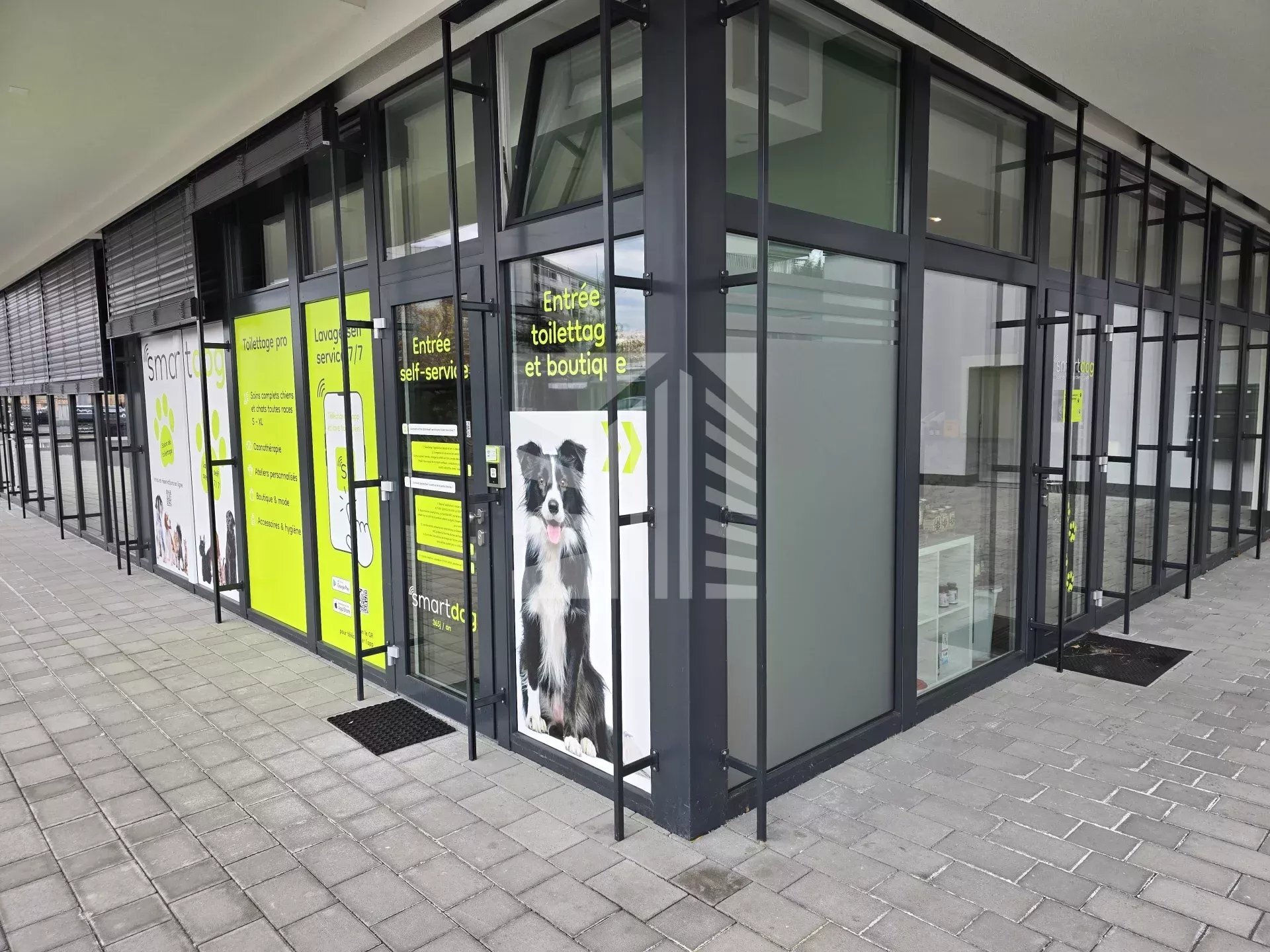 Premier coup d'oeil 1