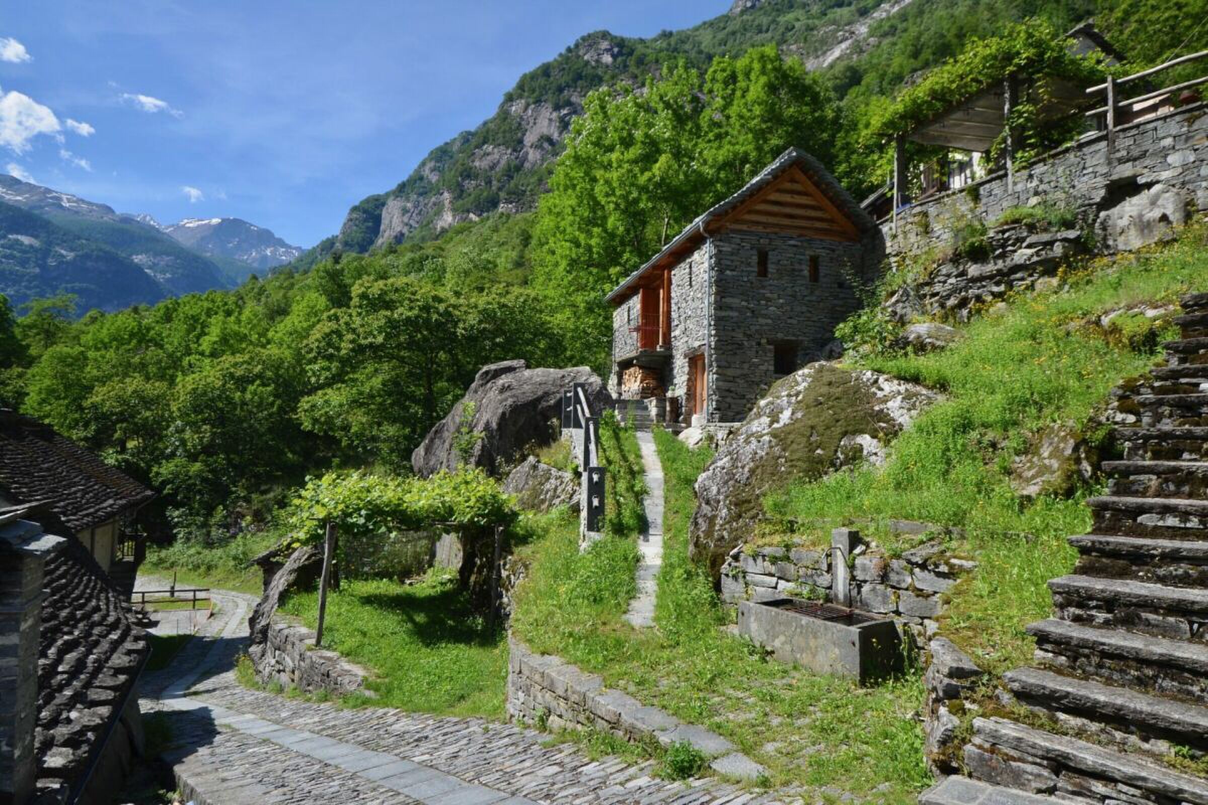 Photo 33